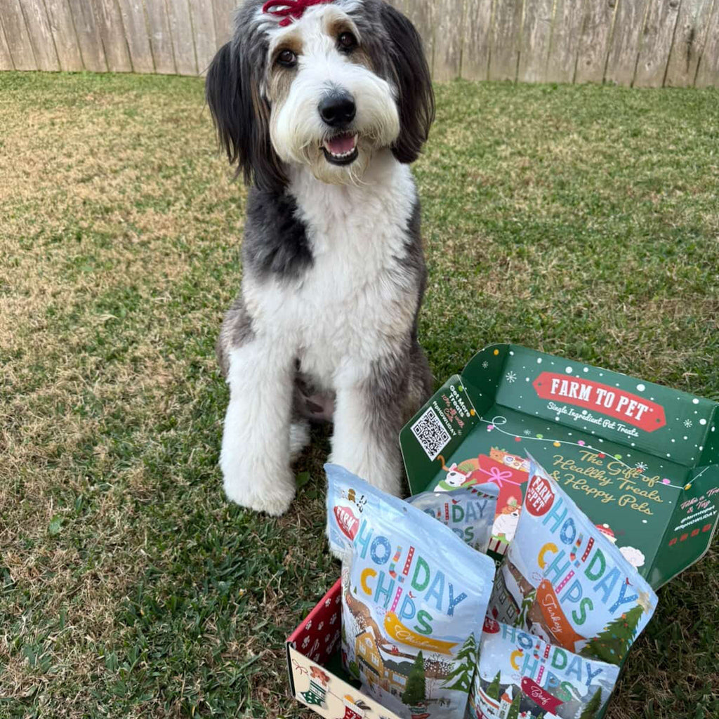 Santa Paws' Best Chipmas Dog Treat Box Farm To Pet