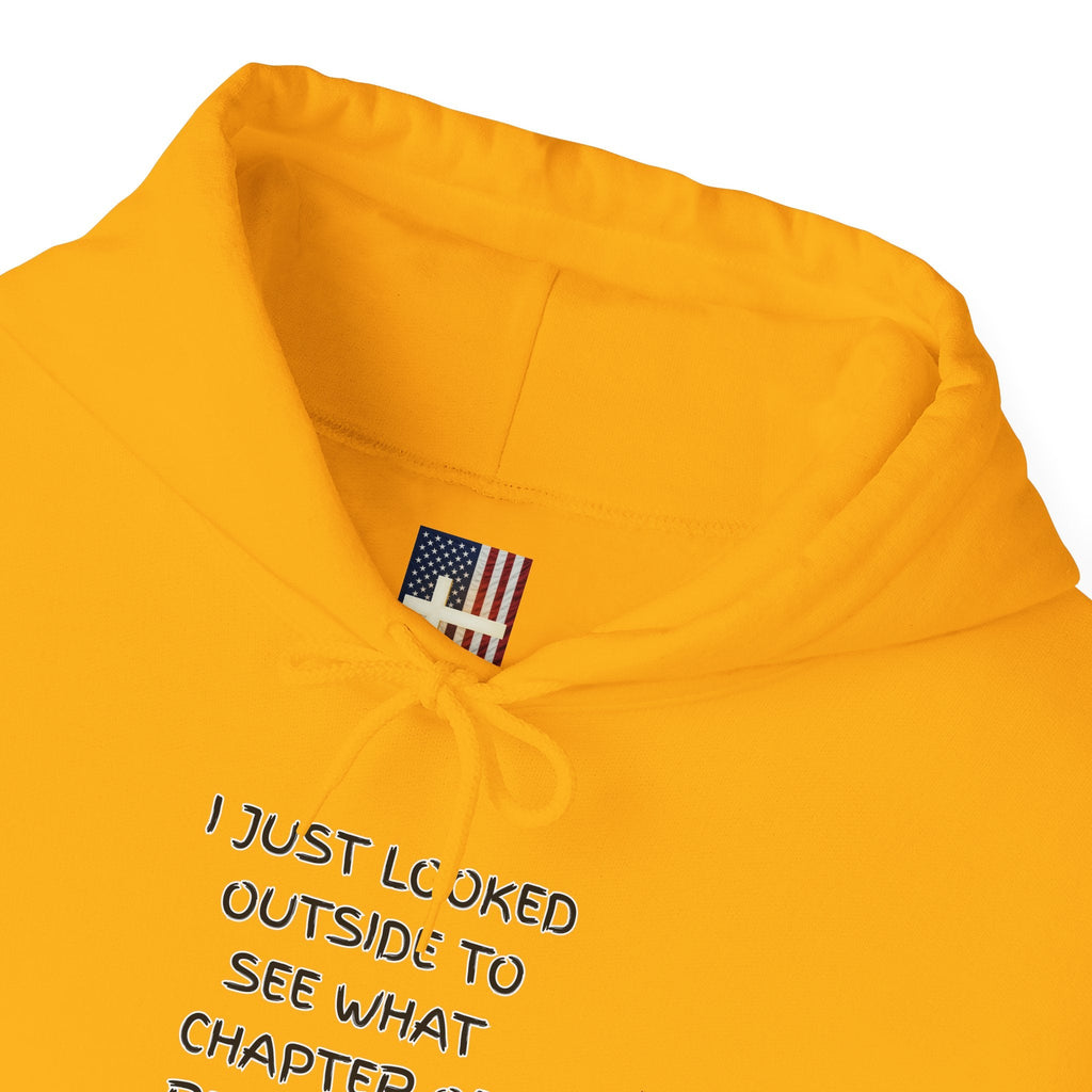 What Chapter of Revelation Hoodie – I Looked Outside My Window Christian Sweatshirt for End Times Humor & Faith Printify