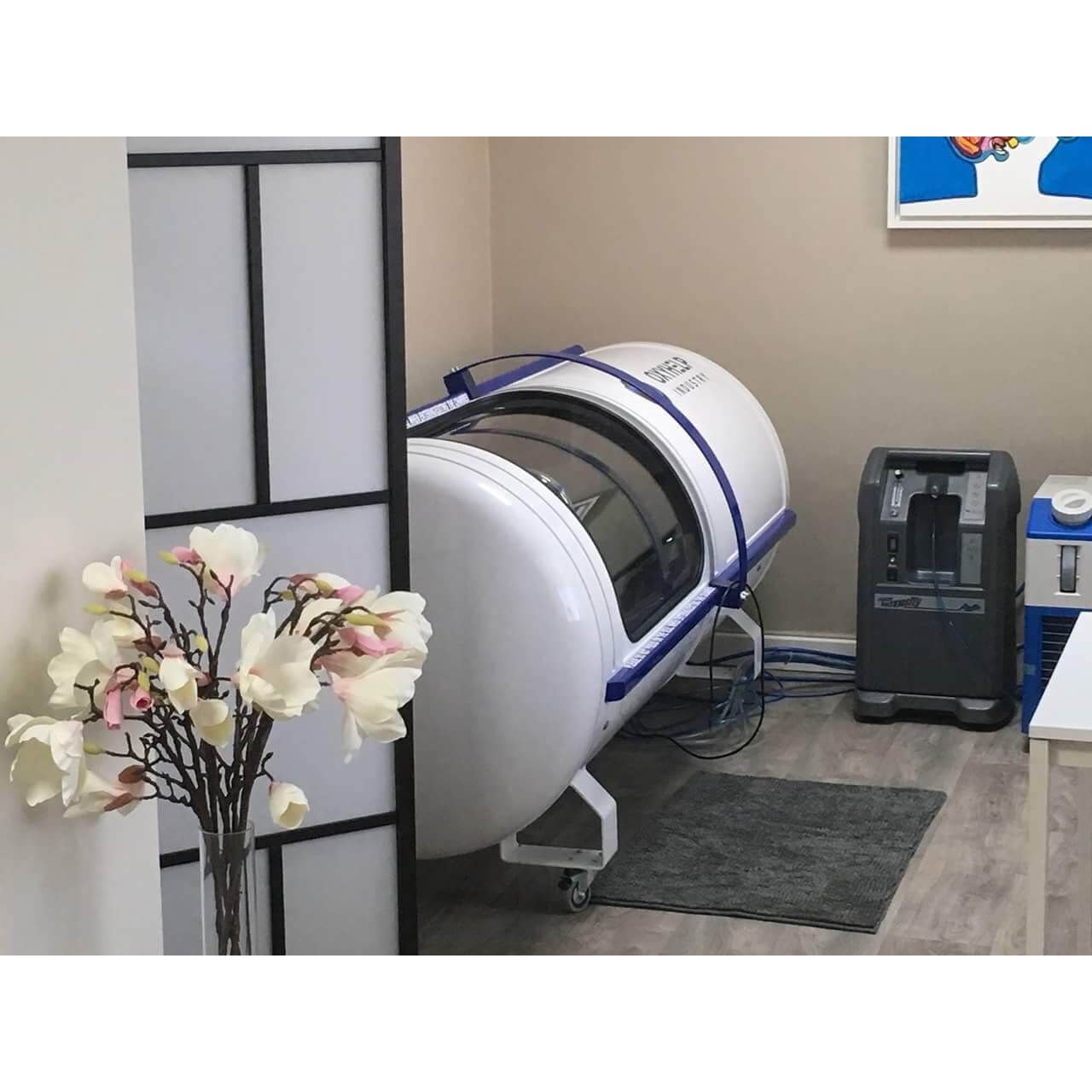 OxyHelp Monoplace 2.0ATA Premium Oxygen Therapy Chamber LifeMed USA