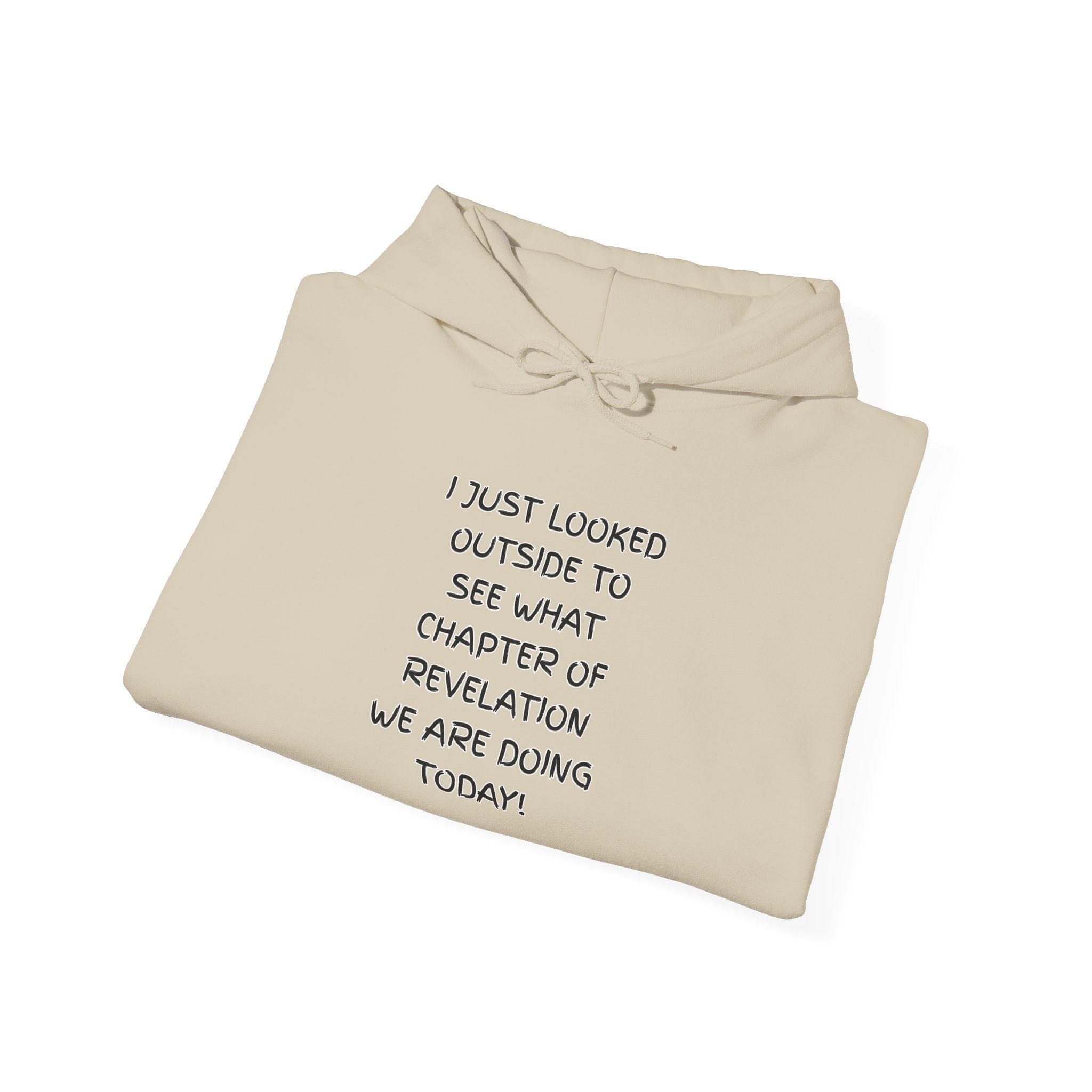 What Chapter of Revelation Hoodie – I Looked Outside My Window Christian Sweatshirt for End Times Humor & Faith Printify