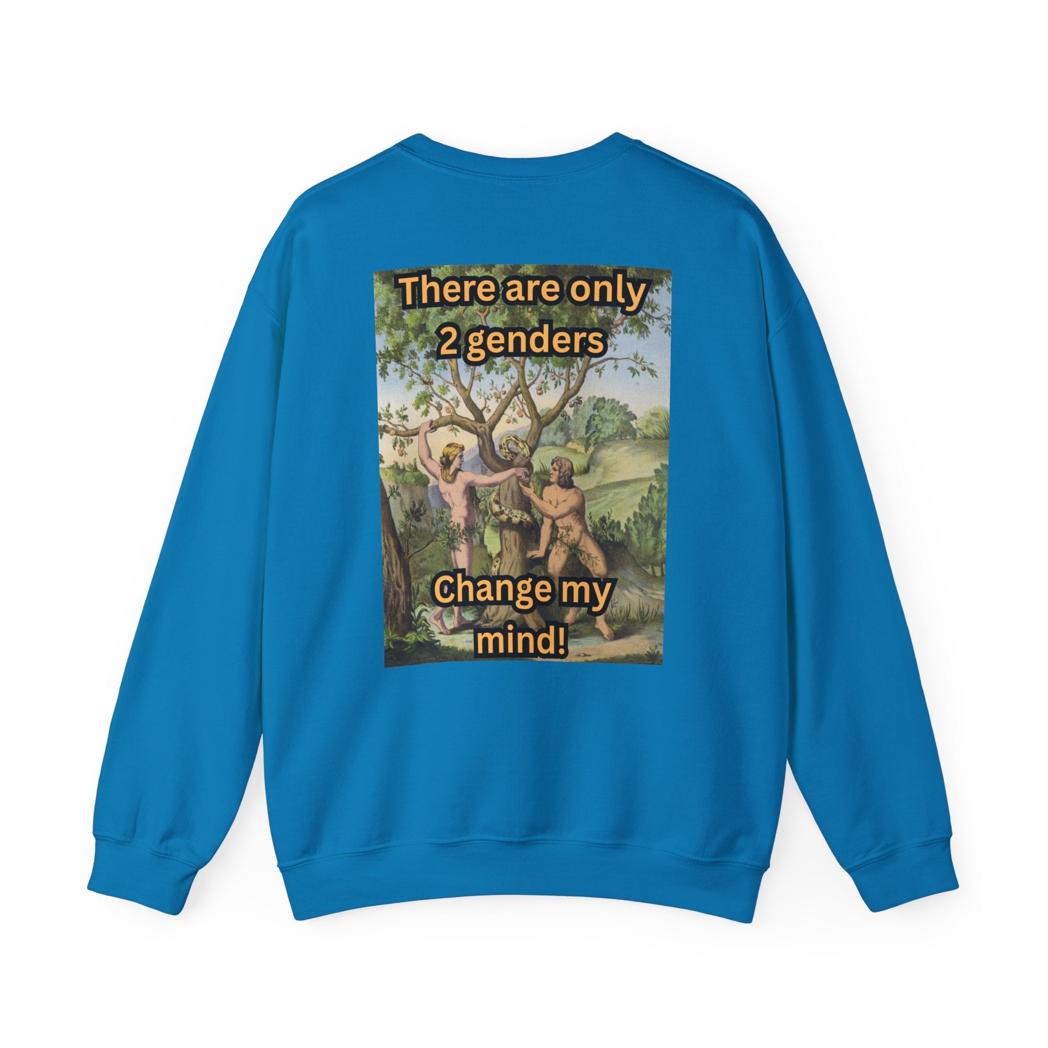 There Are Only 2 Genders Sweatshirt – Adam & Eve Cross Christian Hoodie for Bold Truth Printify