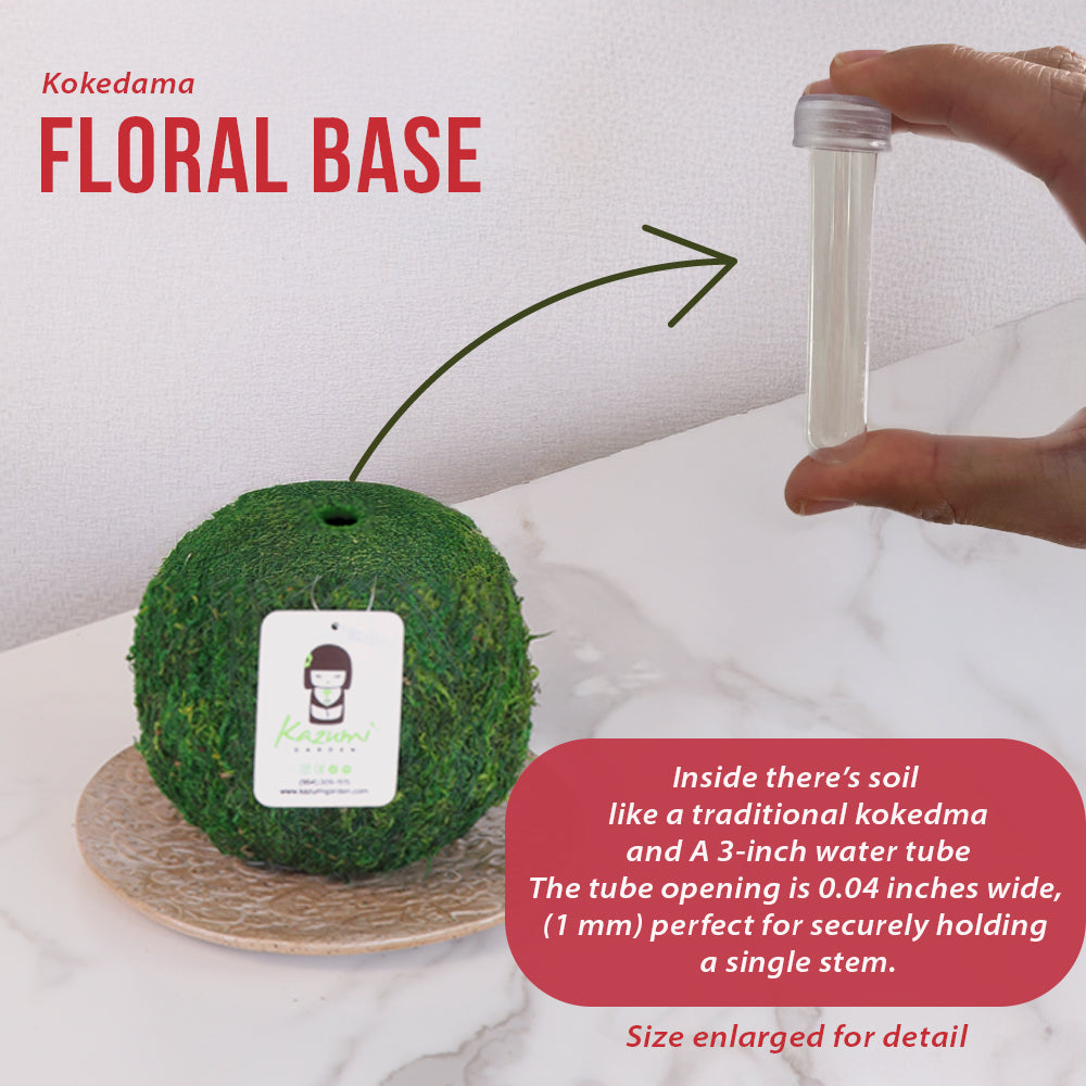 Natural MOSS 4.5" Kokedama Floral Base - Perfect for Single Stems, Fresh Flowers, Dried Blooms, and Minimalist Home Decor Kazumi Garden