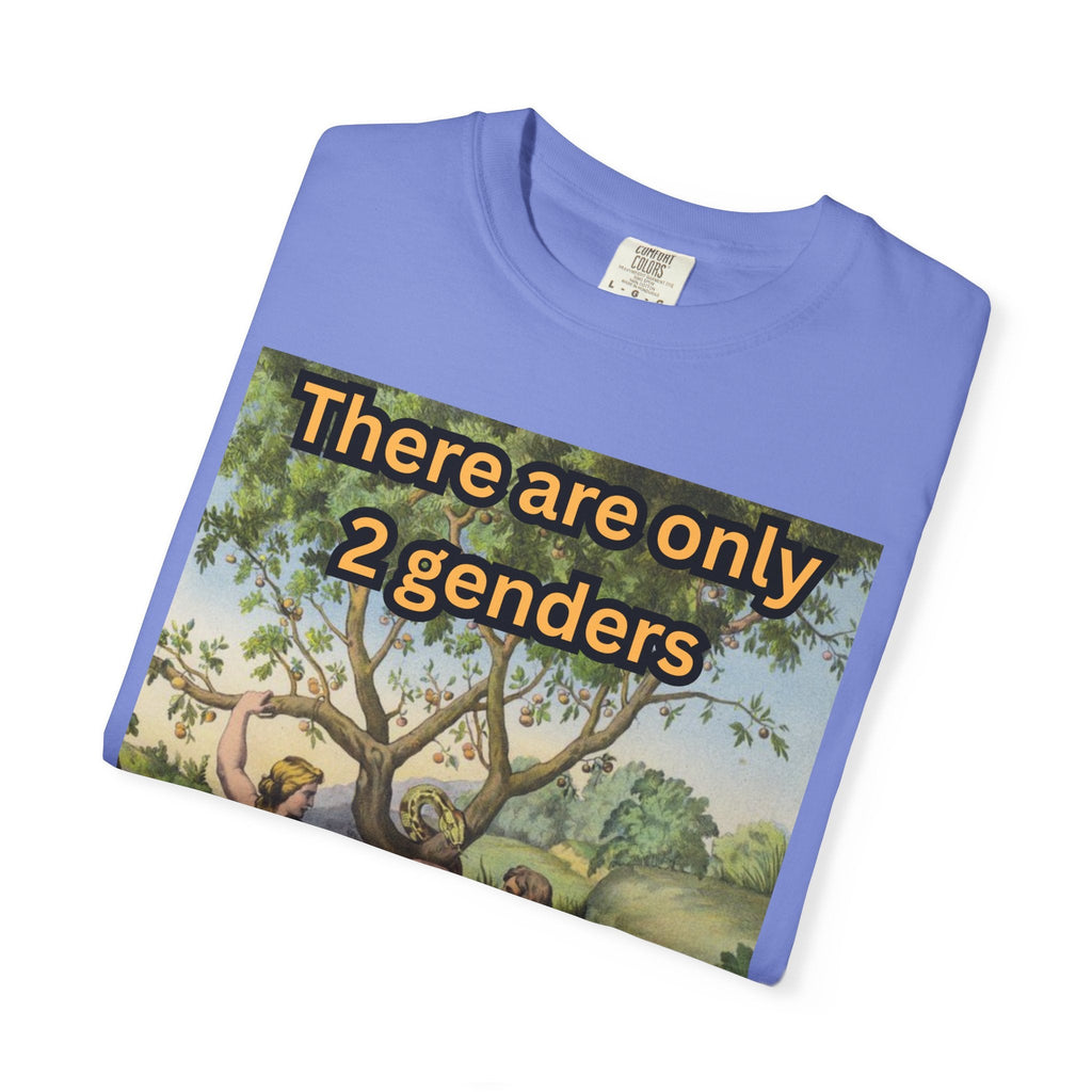 There Are Only 2 Genders T-Shirt – Adam & Eve Cross Christian Tee for Bold Faith Printify