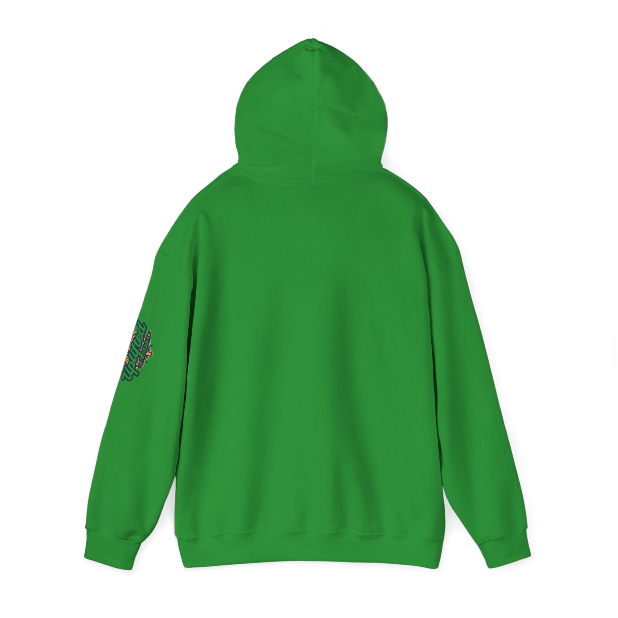 "No Balls in Women's Stalls" Statement Hoodie — Protest Sweatshirt Printify