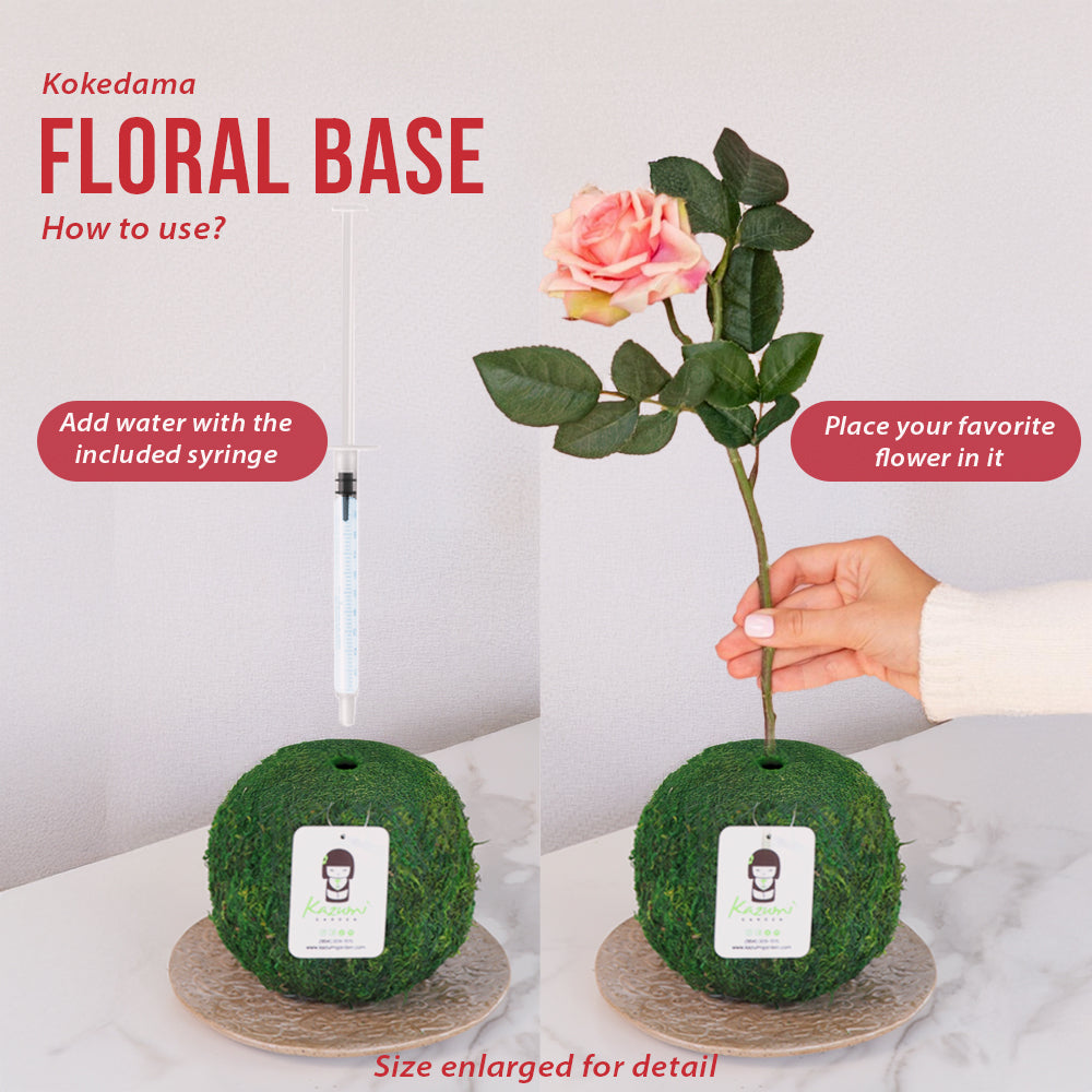 Natural MOSS 4.5" Kokedama Floral Base - Perfect for Single Stems, Fresh Flowers, Dried Blooms, and Minimalist Home Decor Kazumi Garden