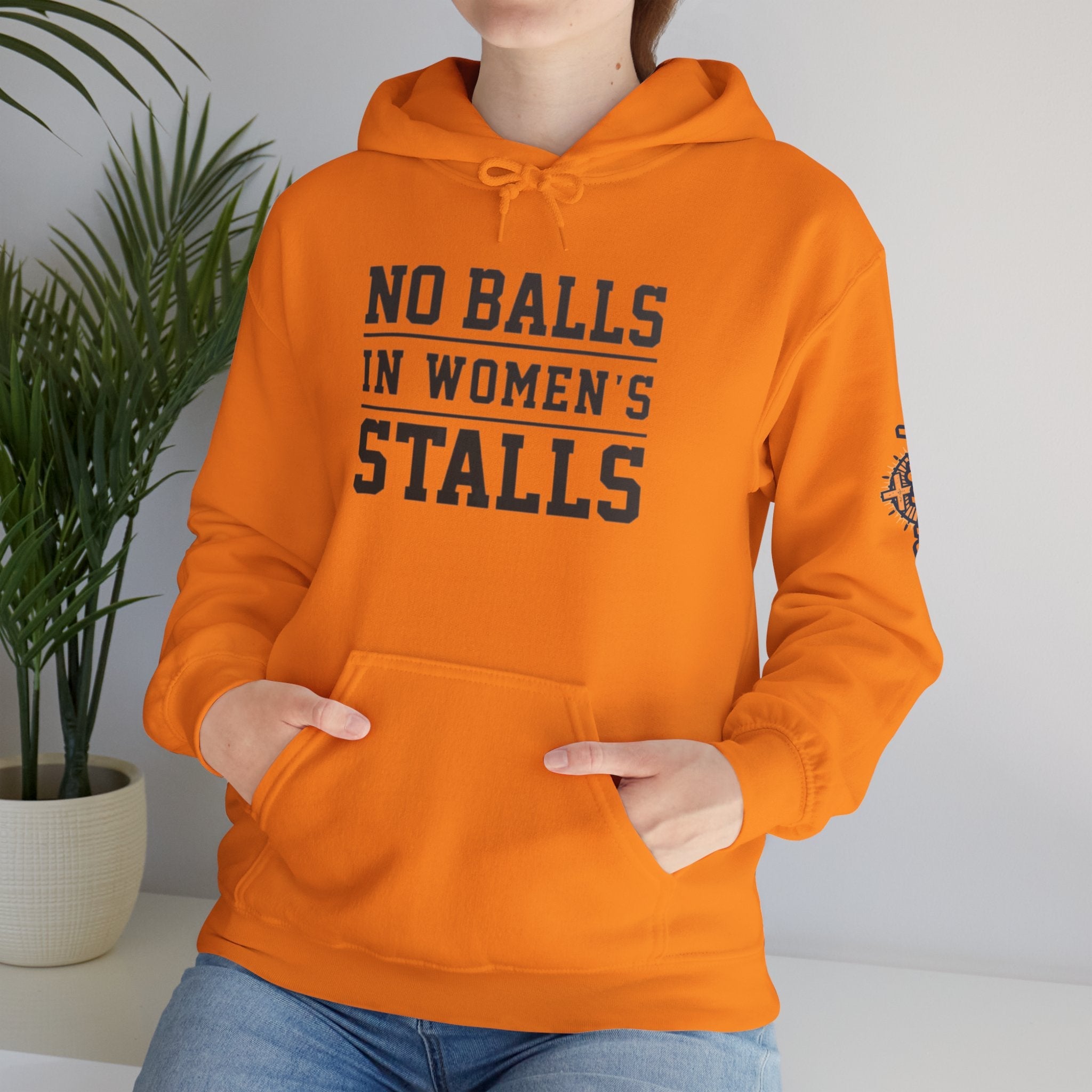 "No Balls in Women's Stalls" Statement Hoodie — Protest Sweatshirt Printify