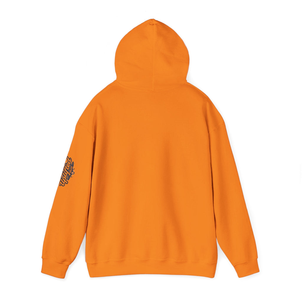"No Balls in Women's Stalls" Statement Hoodie — Protest Sweatshirt Printify