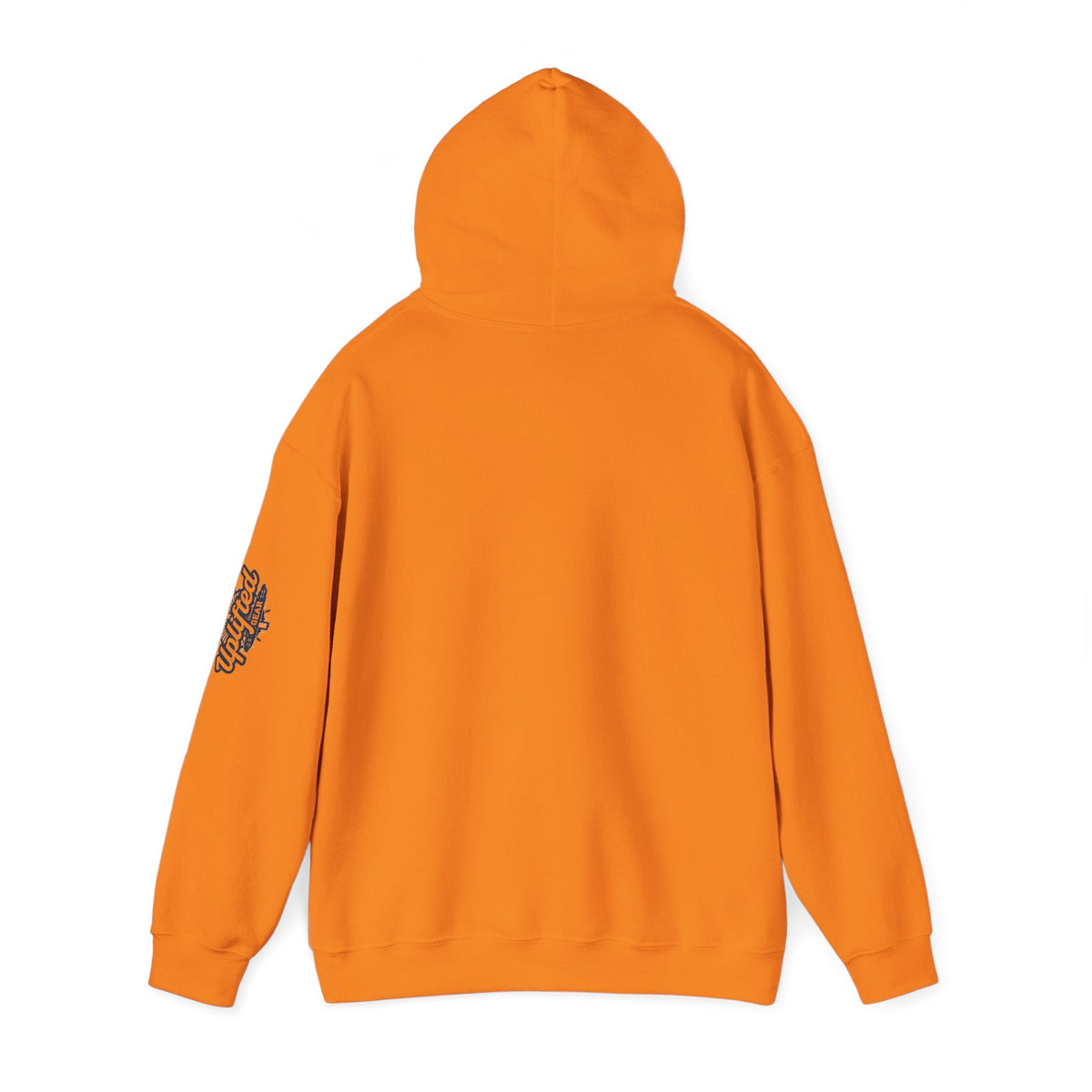"No Balls in Women's Stalls" Statement Hoodie — Protest Sweatshirt Printify