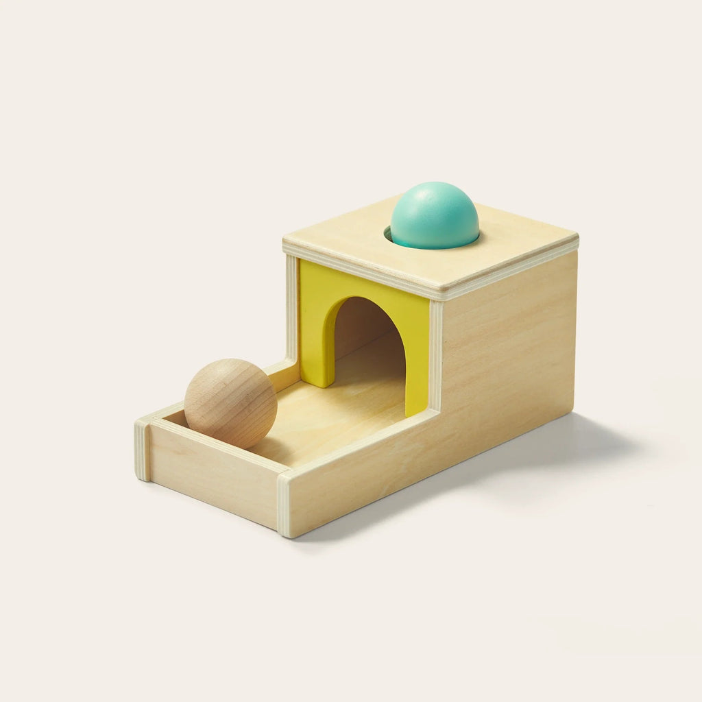 Tiny Land® Montessori Toys for Newborns (7–9 Months) Tiny Land INC