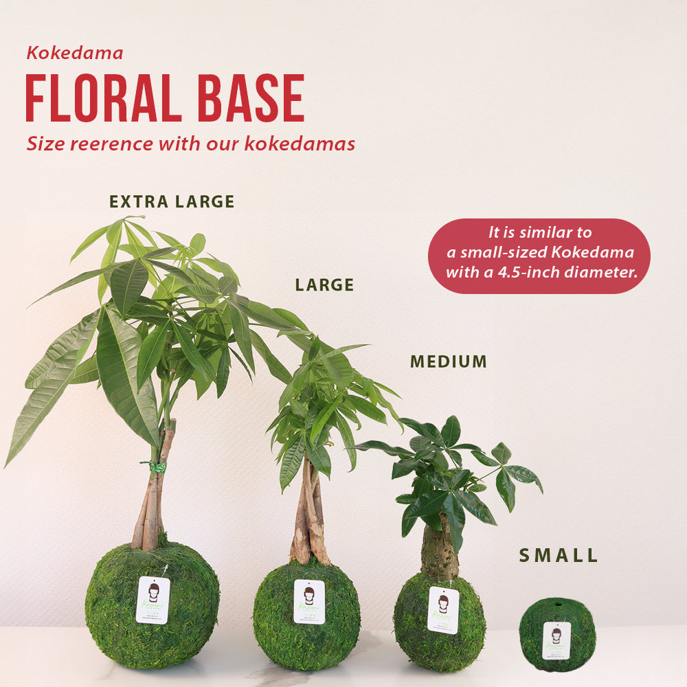 Natural MOSS 4.5" Kokedama Floral Base - Perfect for Single Stems, Fresh Flowers, Dried Blooms, and Minimalist Home Decor Kazumi Garden