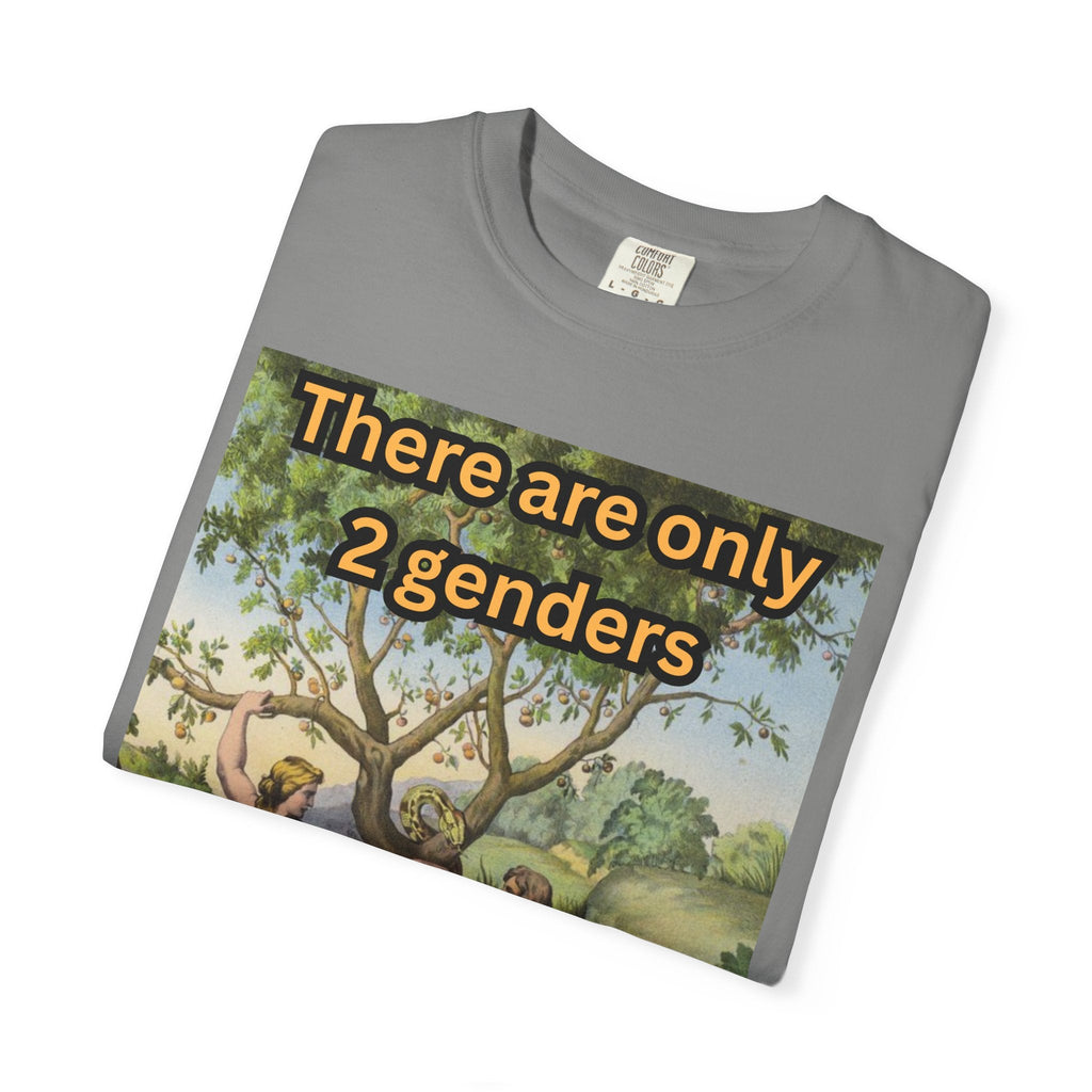 There Are Only 2 Genders T-Shirt – Adam & Eve Cross Christian Tee for Bold Faith Printify