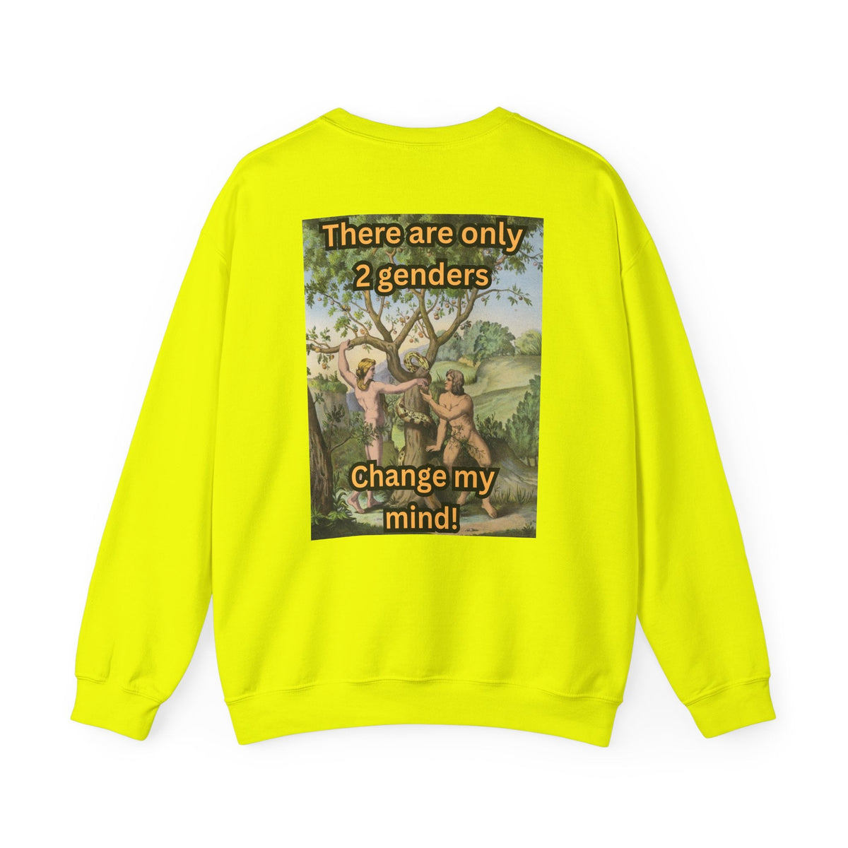 There Are Only 2 Genders Sweatshirt – Adam & Eve Cross Christian Hoodie for Bold Truth Printify