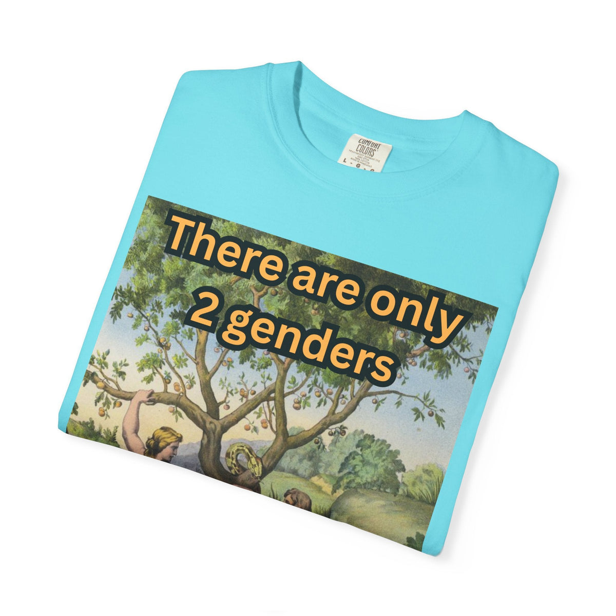 There Are Only 2 Genders T-Shirt – Adam & Eve Cross Christian Tee for Bold Faith Printify