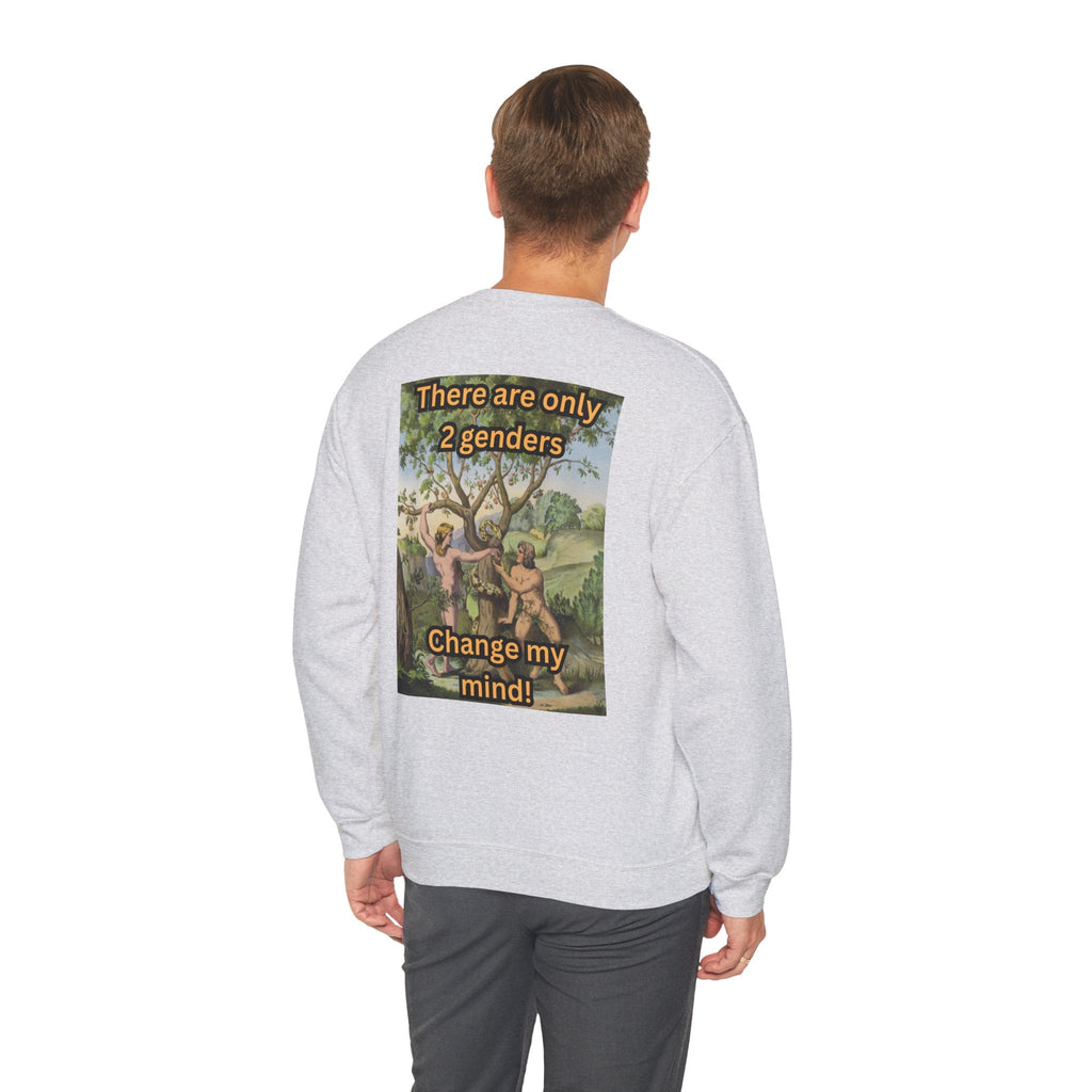 There Are Only 2 Genders Sweatshirt – Adam & Eve Cross Christian Hoodie for Bold Truth Printify