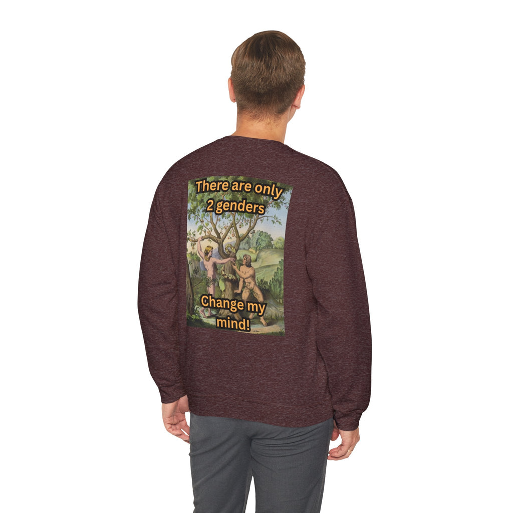 There Are Only 2 Genders Sweatshirt – Adam & Eve Cross Christian Hoodie for Bold Truth Printify