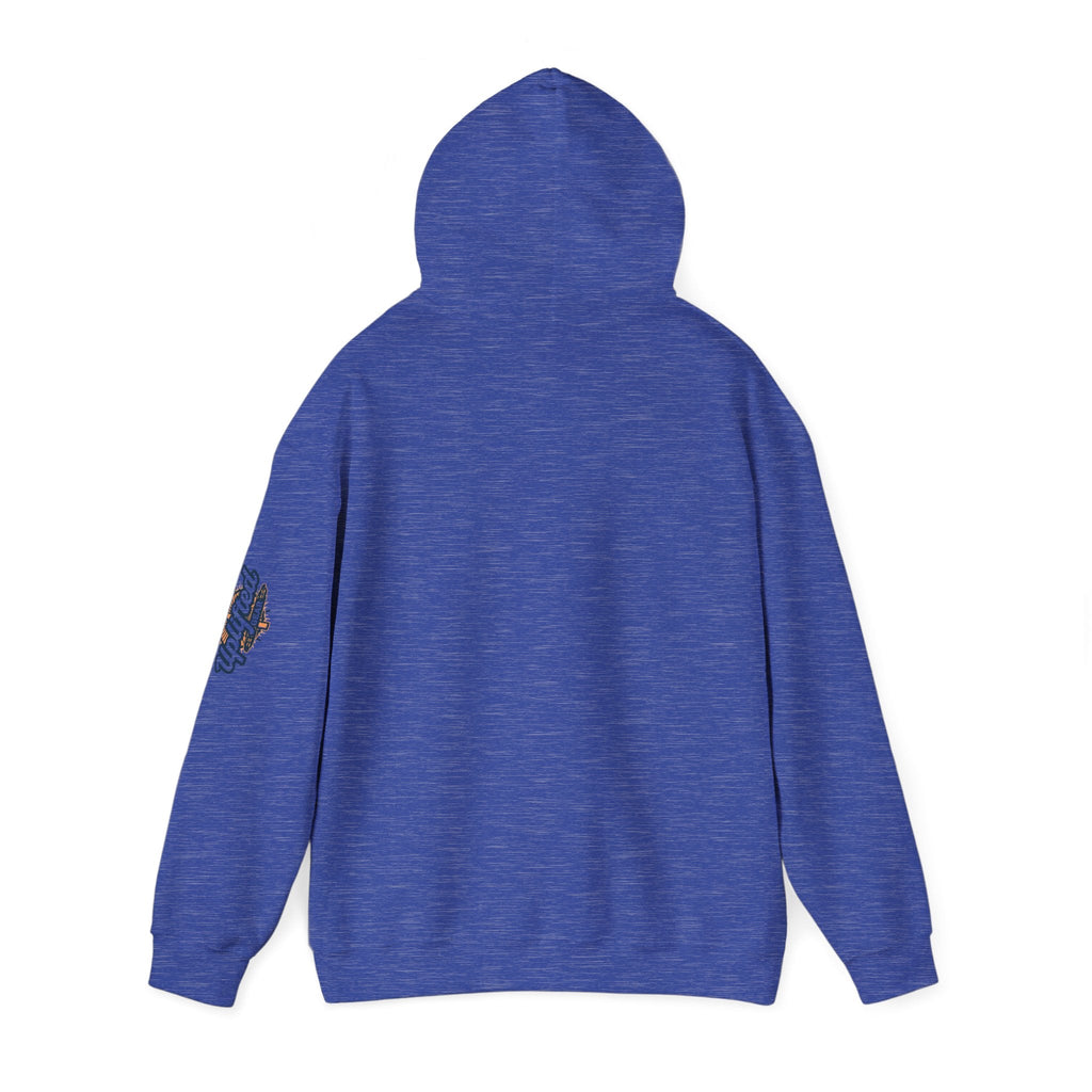 "No Balls in Women's Stalls" Statement Hoodie — Protest Sweatshirt Printify