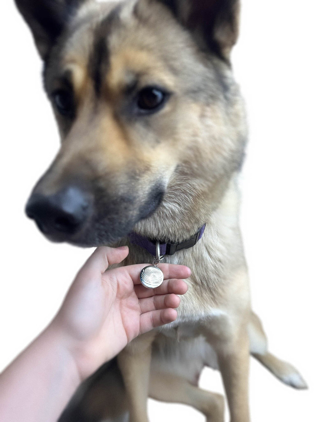 Pet EMF Defense Pendant Your Emf Shield
