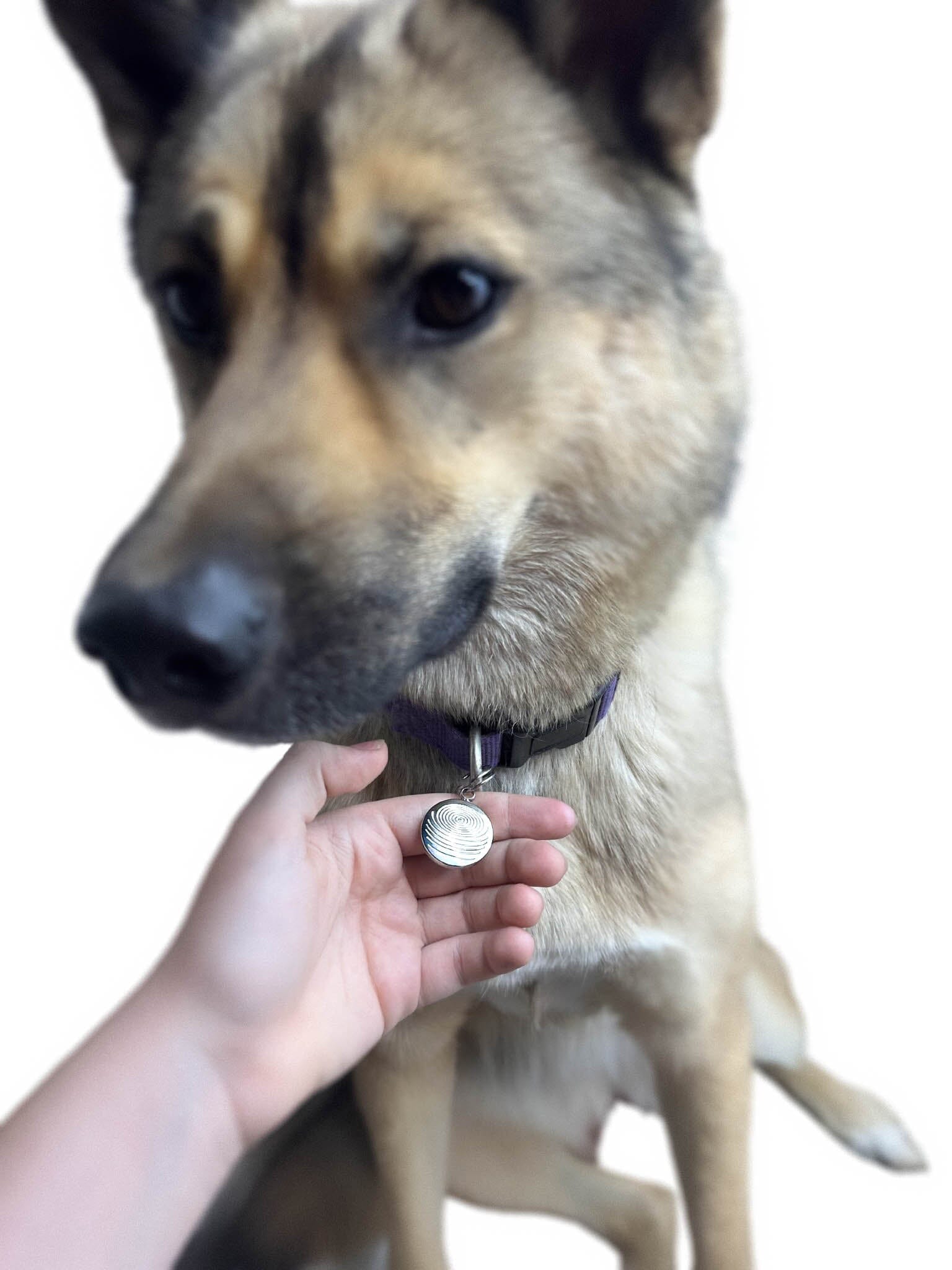 Pet EMF Defense Pendant Your Emf Shield