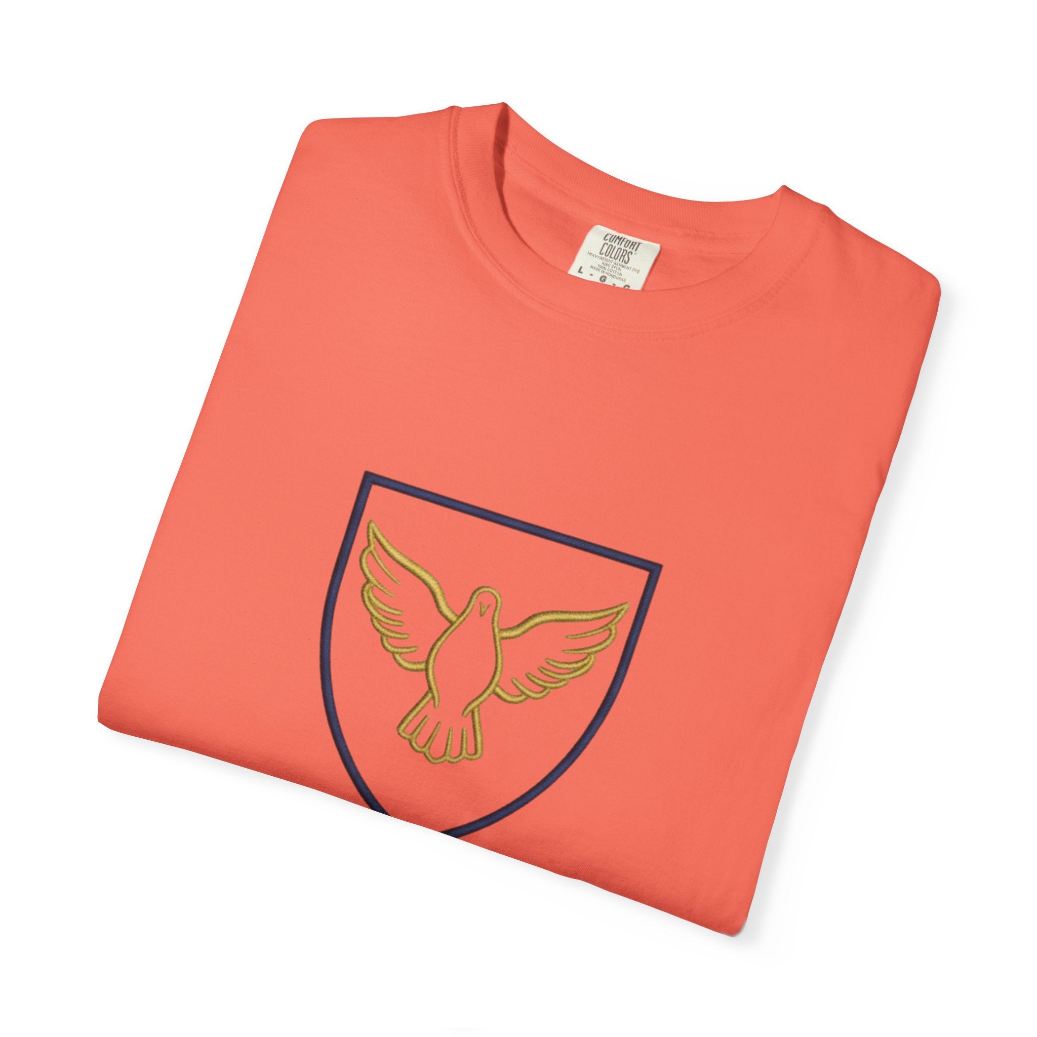 Ambassador for Christ T-Shirt – Established 33 AD Christian Tee for Bold Faith Printify