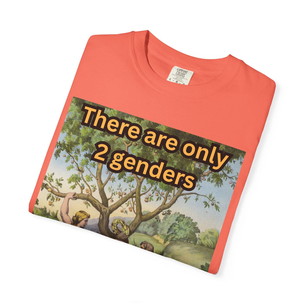 There Are Only 2 Genders T-Shirt – Adam & Eve Cross Christian Tee for Bold Faith Printify