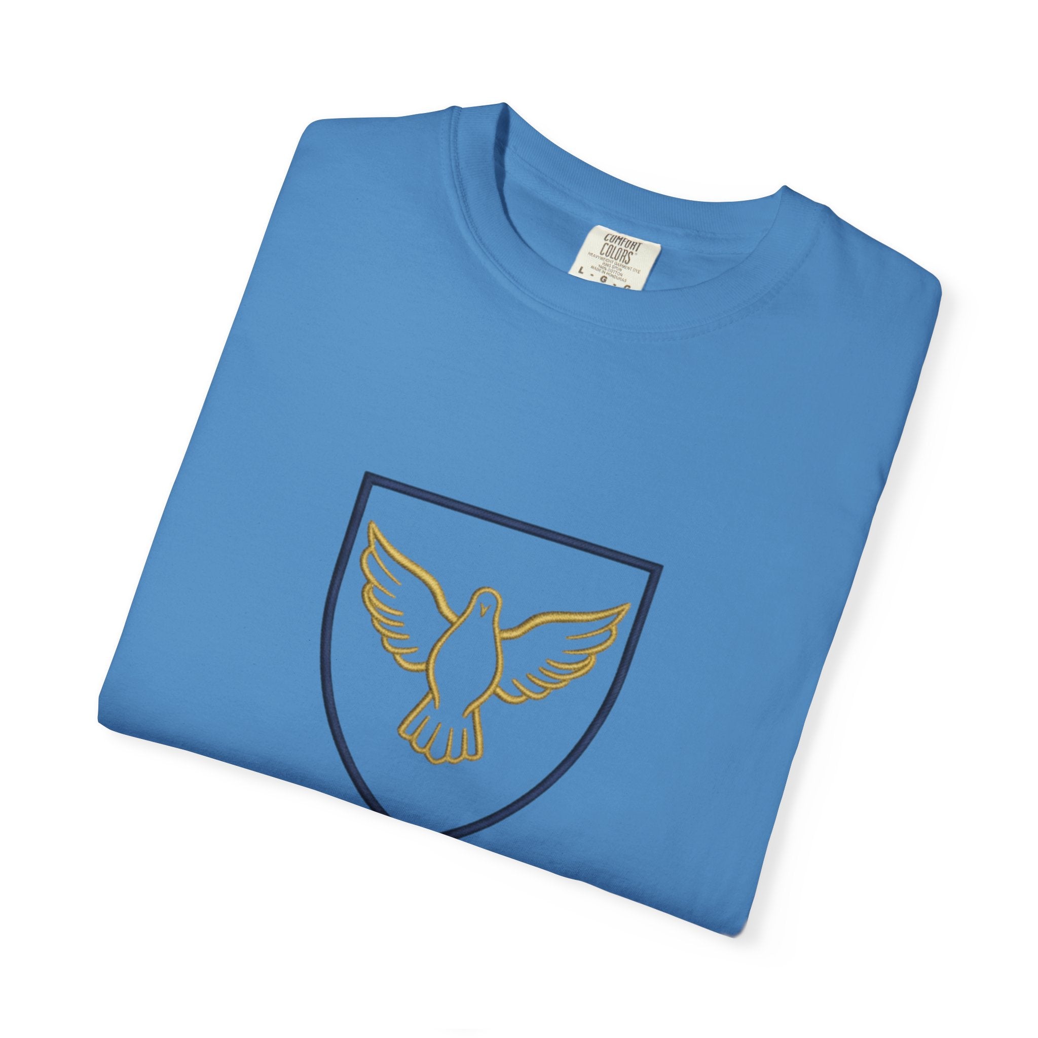 Ambassador for Christ T-Shirt – Established 33 AD Christian Tee for Bold Faith Printify