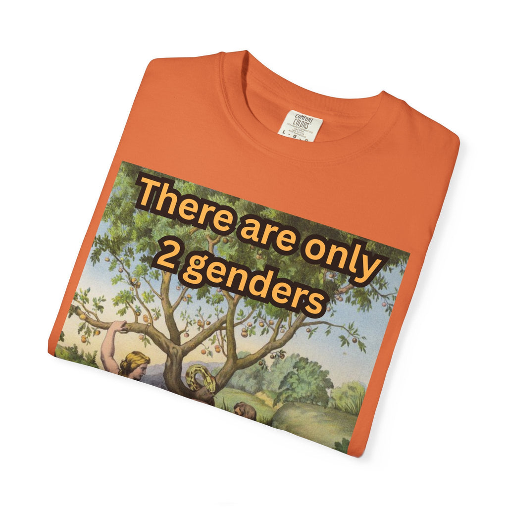 There Are Only 2 Genders T-Shirt – Adam & Eve Cross Christian Tee for Bold Faith Printify