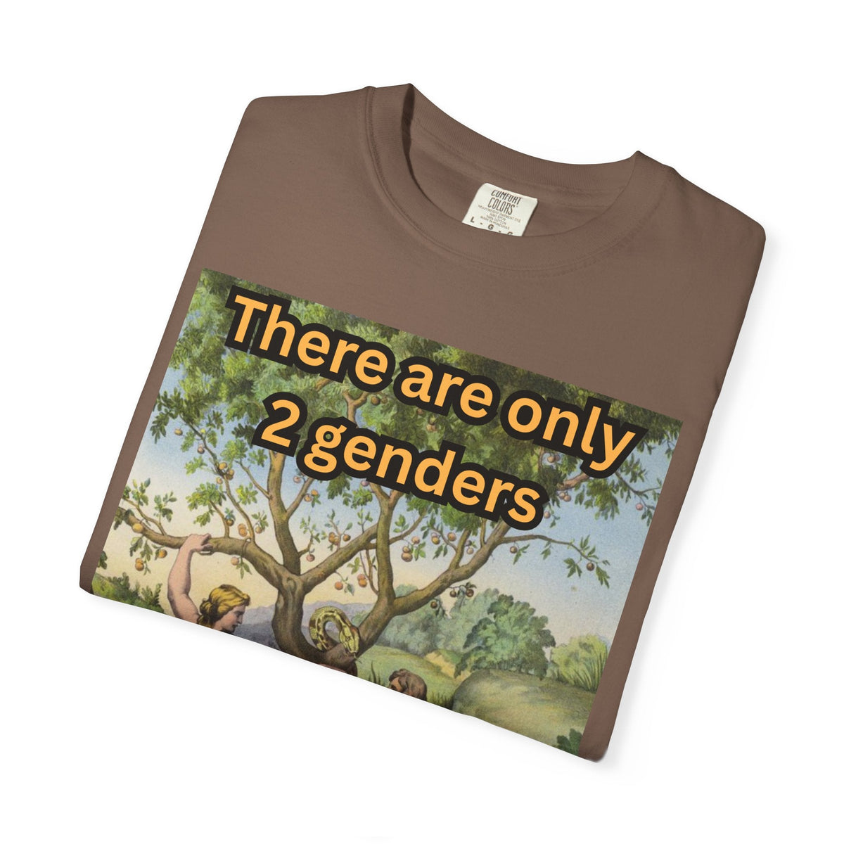 There Are Only 2 Genders T-Shirt – Adam & Eve Cross Christian Tee for Bold Faith Printify