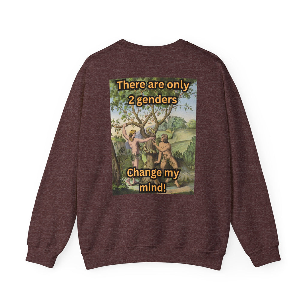 There Are Only 2 Genders Sweatshirt – Adam & Eve Cross Christian Hoodie for Bold Truth Printify