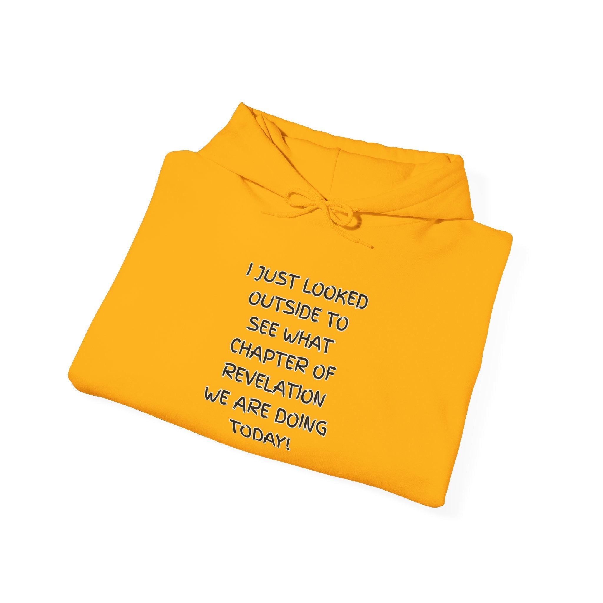 What Chapter of Revelation Hoodie – I Looked Outside My Window Christian Sweatshirt for End Times Humor & Faith Printify