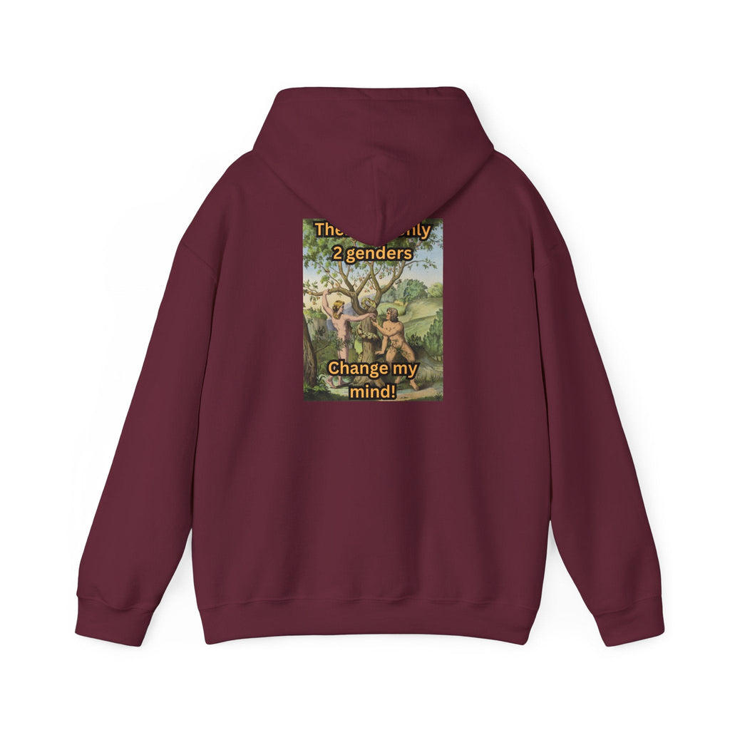 There Are Only 2 Genders Hoodie – Adam & Eve Cross Christian Hoodie for Bold Truth Printify
