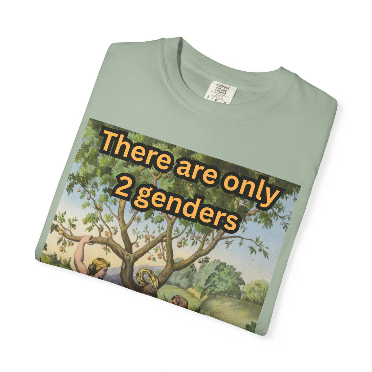There Are Only 2 Genders T-Shirt – Adam & Eve Cross Christian Tee for Bold Faith Printify