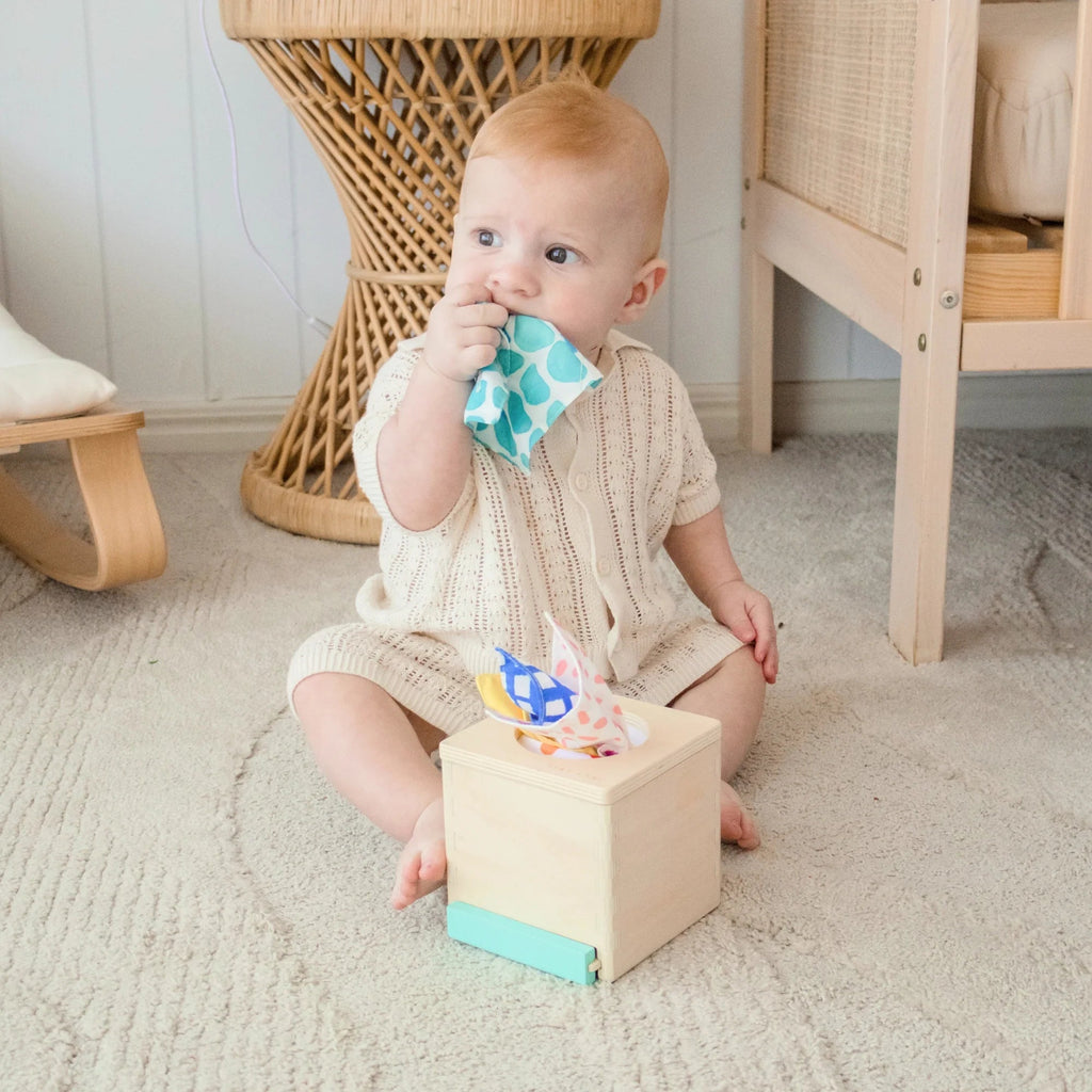 Tiny Land® Montessori Toys for Newborns (4–6 Months) Tiny Land INC