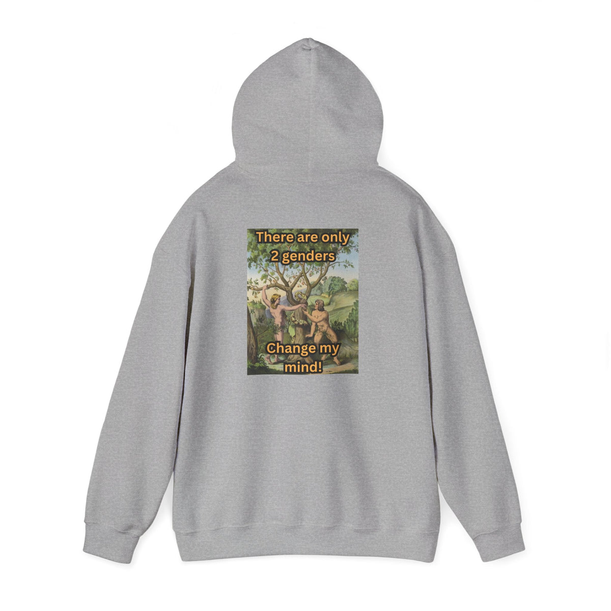 There Are Only 2 Genders Hoodie – Adam & Eve Cross Christian Hoodie for Bold Truth Printify
