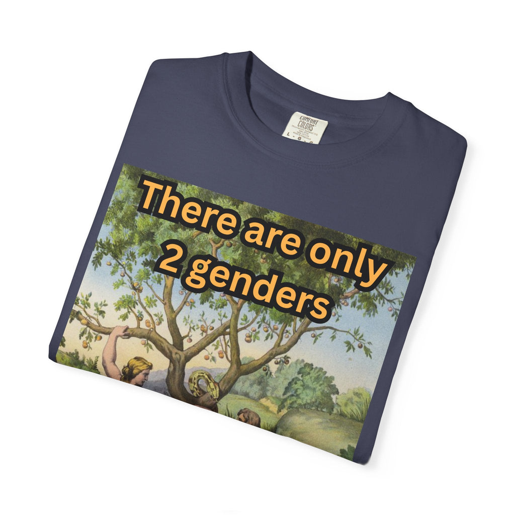There Are Only 2 Genders T-Shirt – Adam & Eve Cross Christian Tee for Bold Faith Printify