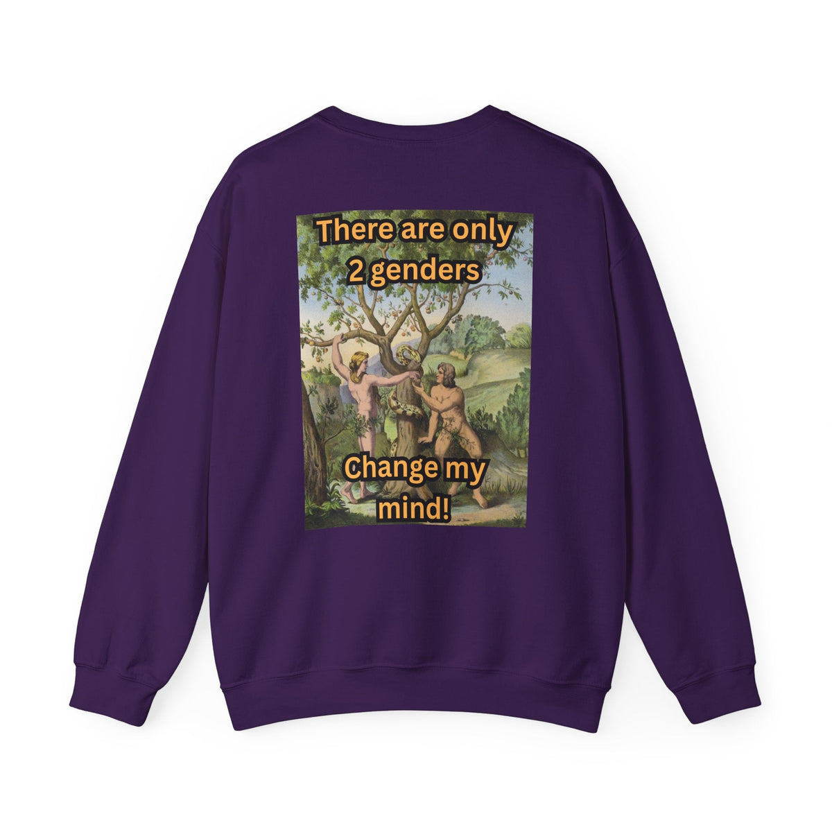 There Are Only 2 Genders Sweatshirt – Adam & Eve Cross Christian Hoodie for Bold Truth Printify