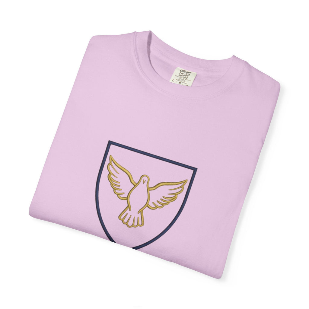 Ambassador for Christ T-Shirt – Established 33 AD Christian Tee for Bold Faith Printify