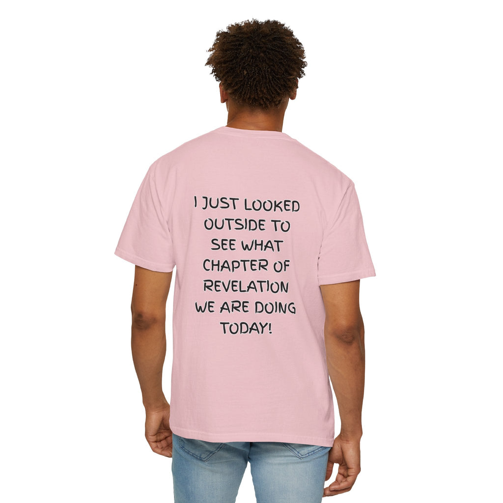What Chapter of Revelation T-shirt – I Looked Outside My Window Christian T-shirt for End Times Humor & Faith Printify