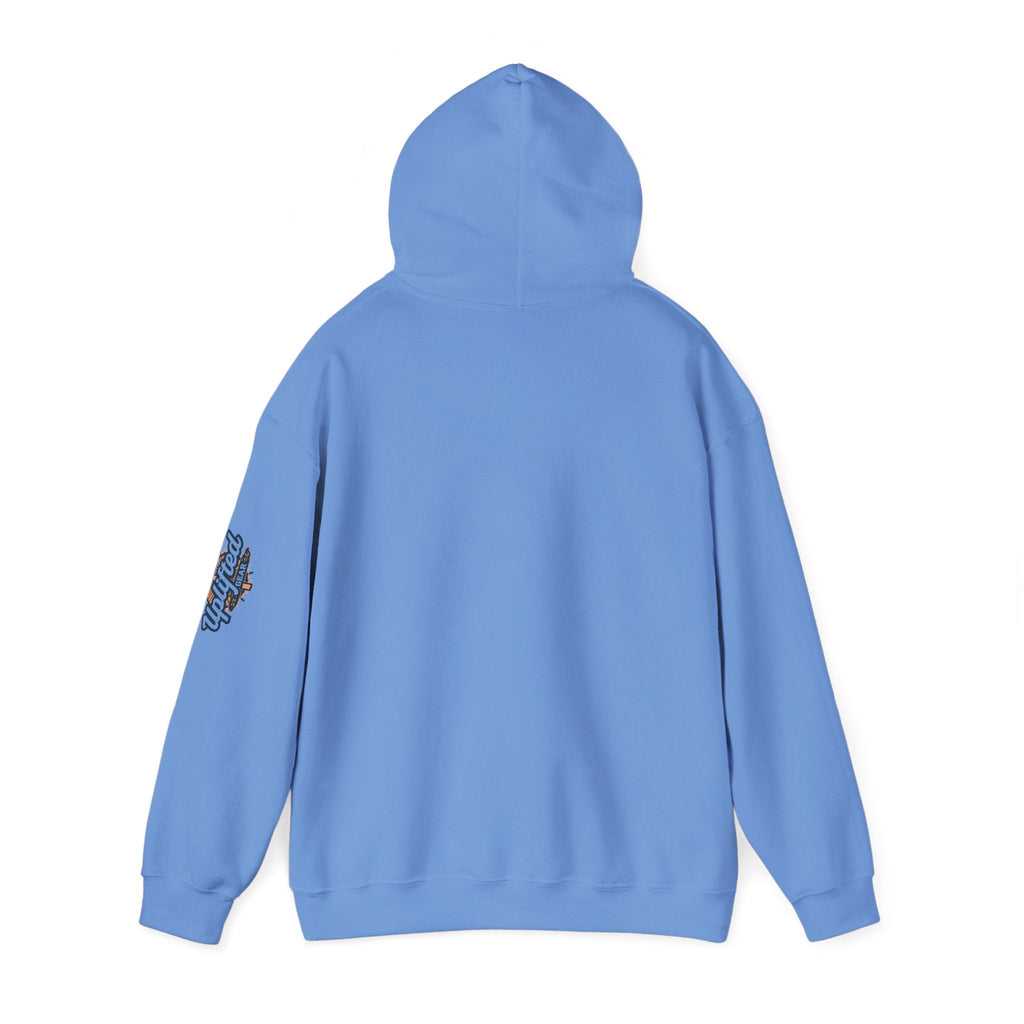 "No Balls in Women's Stalls" Statement Hoodie — Protest Sweatshirt Printify