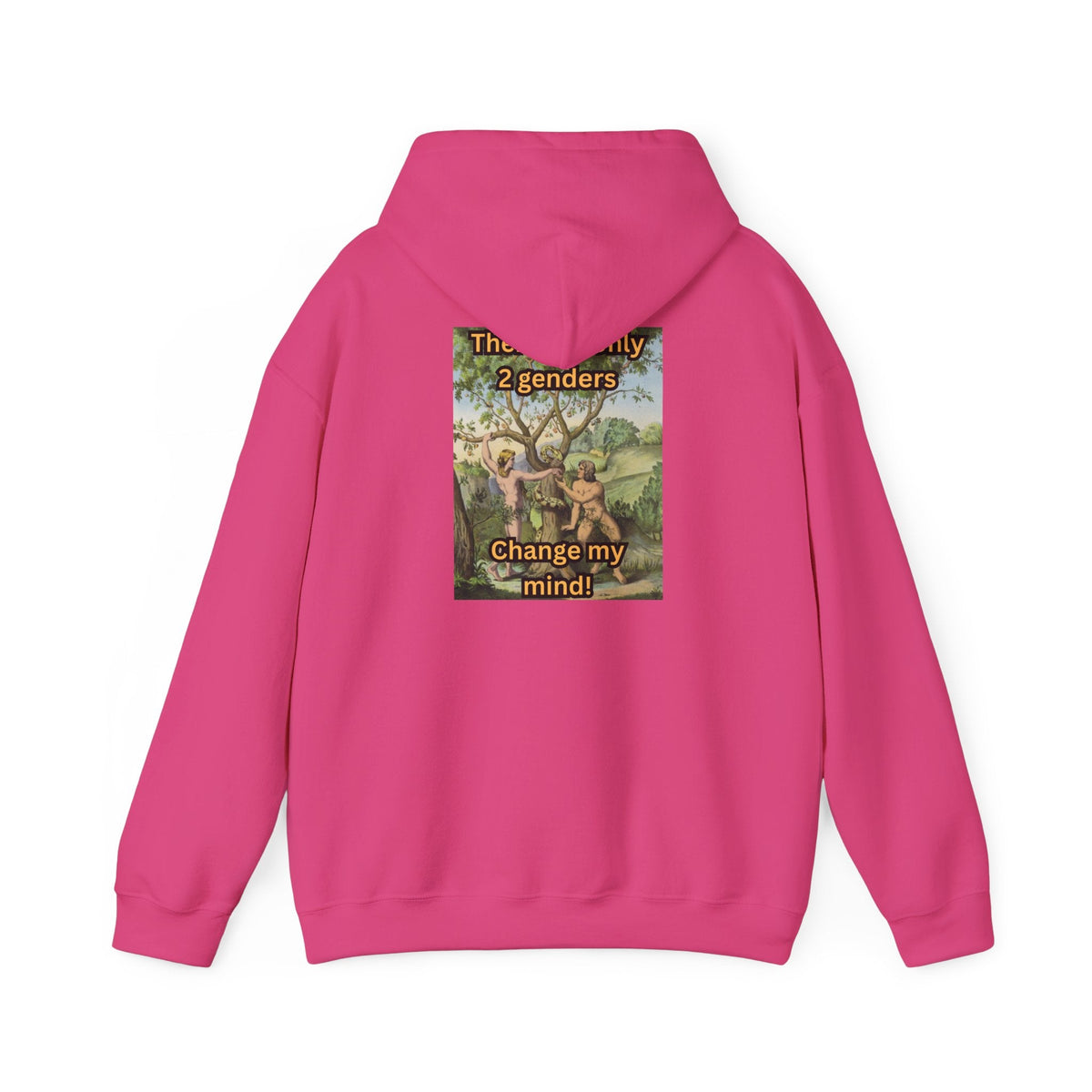 There Are Only 2 Genders Hoodie – Adam & Eve Cross Christian Hoodie for Bold Truth Printify