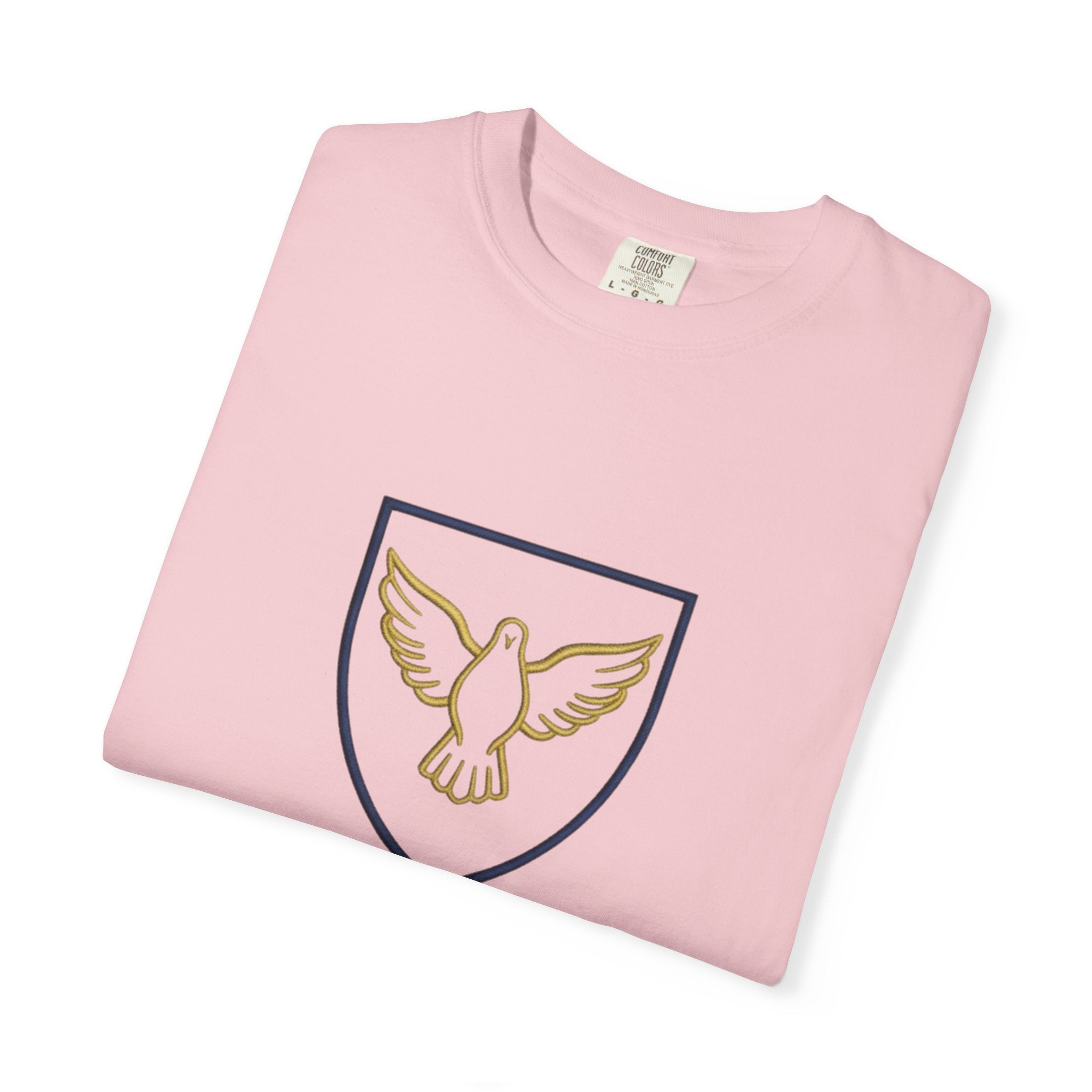 Ambassador for Christ T-Shirt – Established 33 AD Christian Tee for Bold Faith Printify