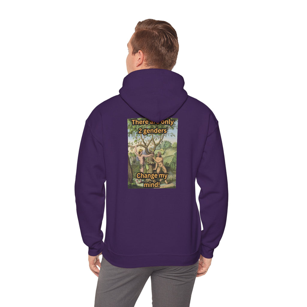 There Are Only 2 Genders Hoodie – Adam & Eve Cross Christian Hoodie for Bold Truth Printify