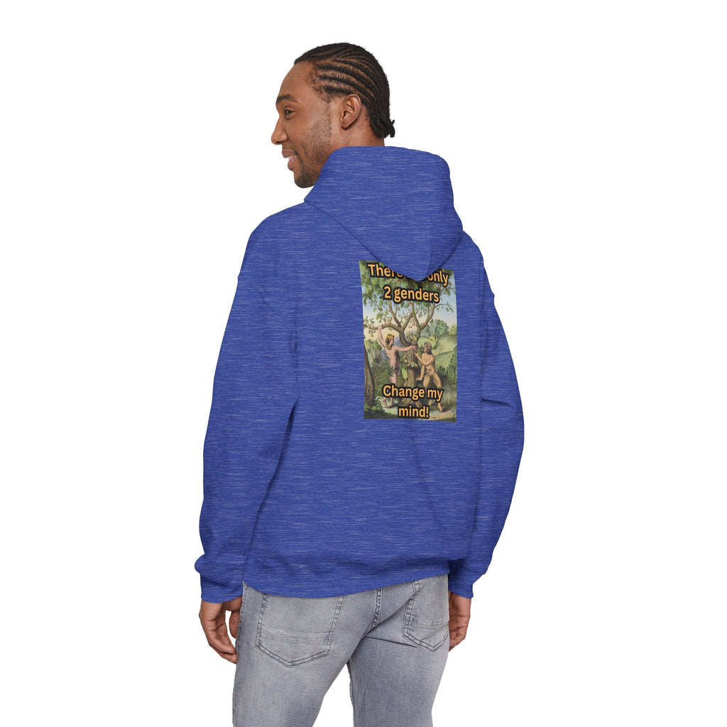 There Are Only 2 Genders Hoodie – Adam & Eve Cross Christian Hoodie for Bold Truth Printify