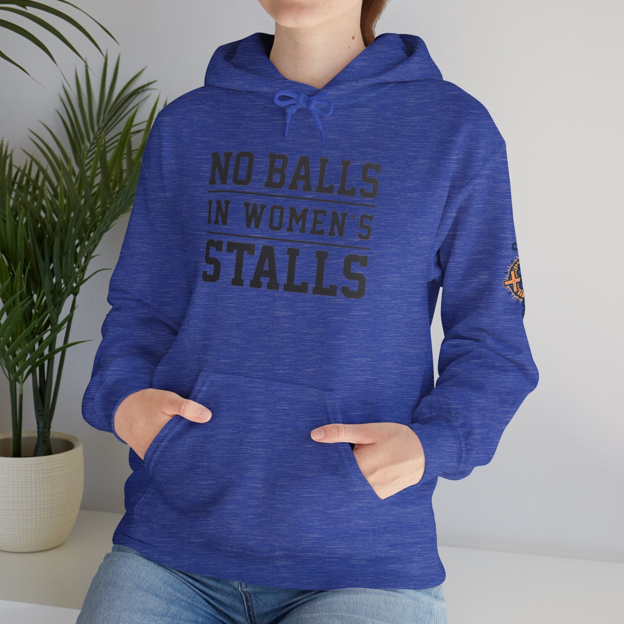 "No Balls in Women's Stalls" Statement Hoodie — Protest Sweatshirt Printify