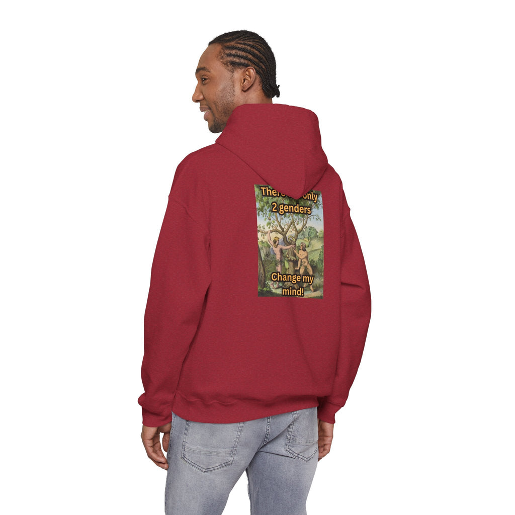 There Are Only 2 Genders Hoodie – Adam & Eve Cross Christian Hoodie for Bold Truth Printify