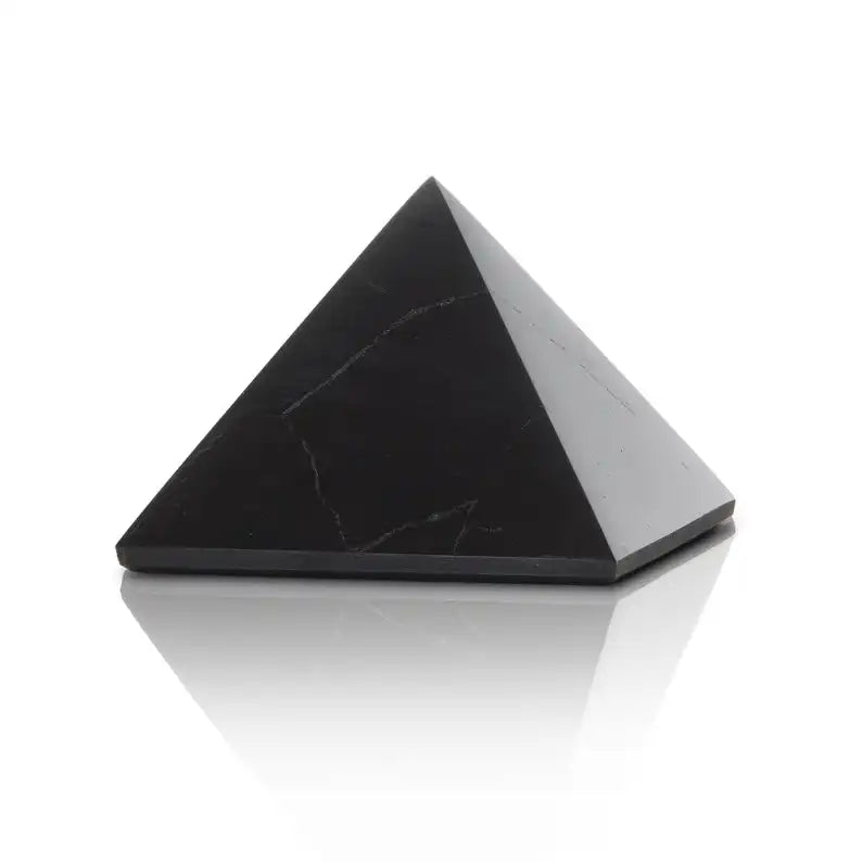 Shungite Stone Home EMF Defender Your Emf Shield