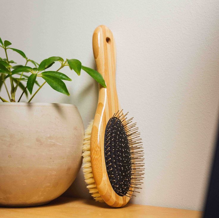 Two-Sided Pet Brush – Bristle & Wire for Shedding & Detangling Tilley + Me