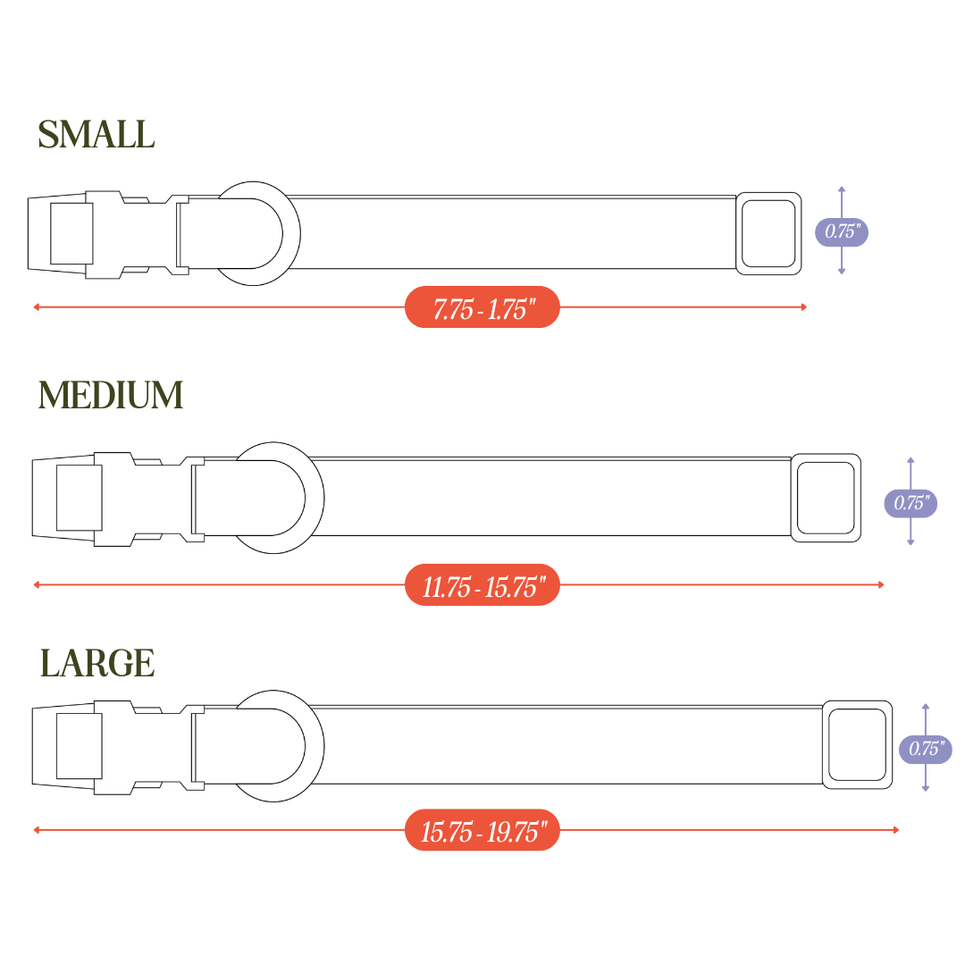 PVC Dog Collar - All Weather Waterproof Durable & Odor-Resistant Tilley + Me