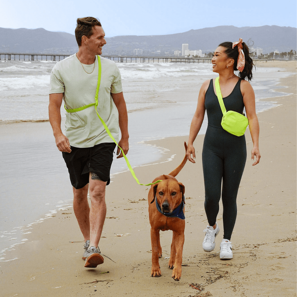 PVC Dog Collar - All Weather Waterproof Durable & Odor-Resistant Tilley + Me