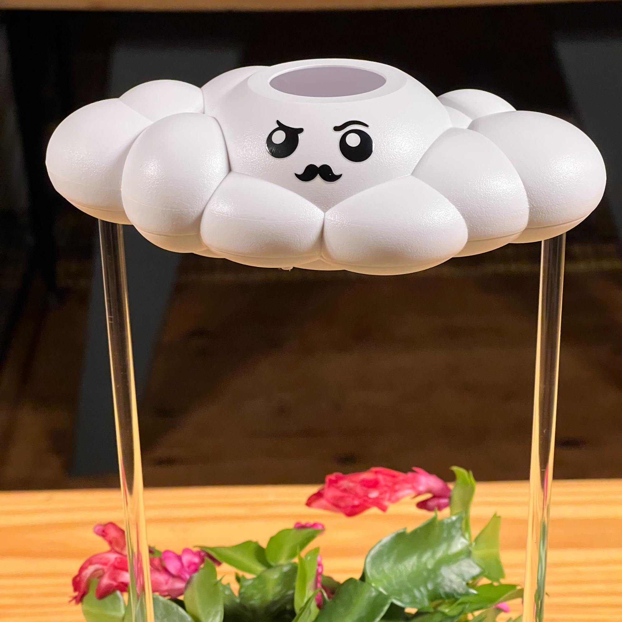 Carl the Cloud The Cloud Makers