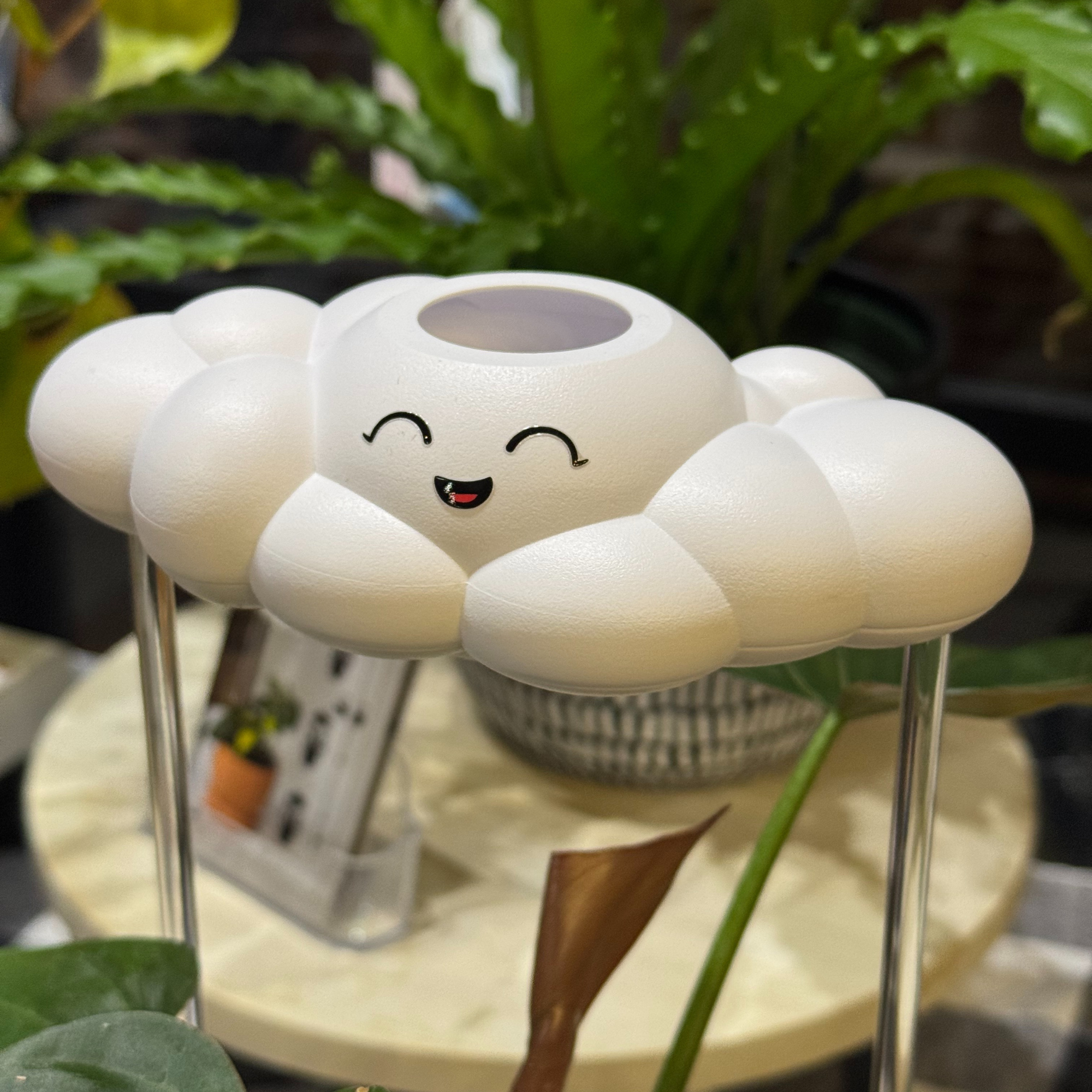 Chelsea the Cloud The Cloud Makers